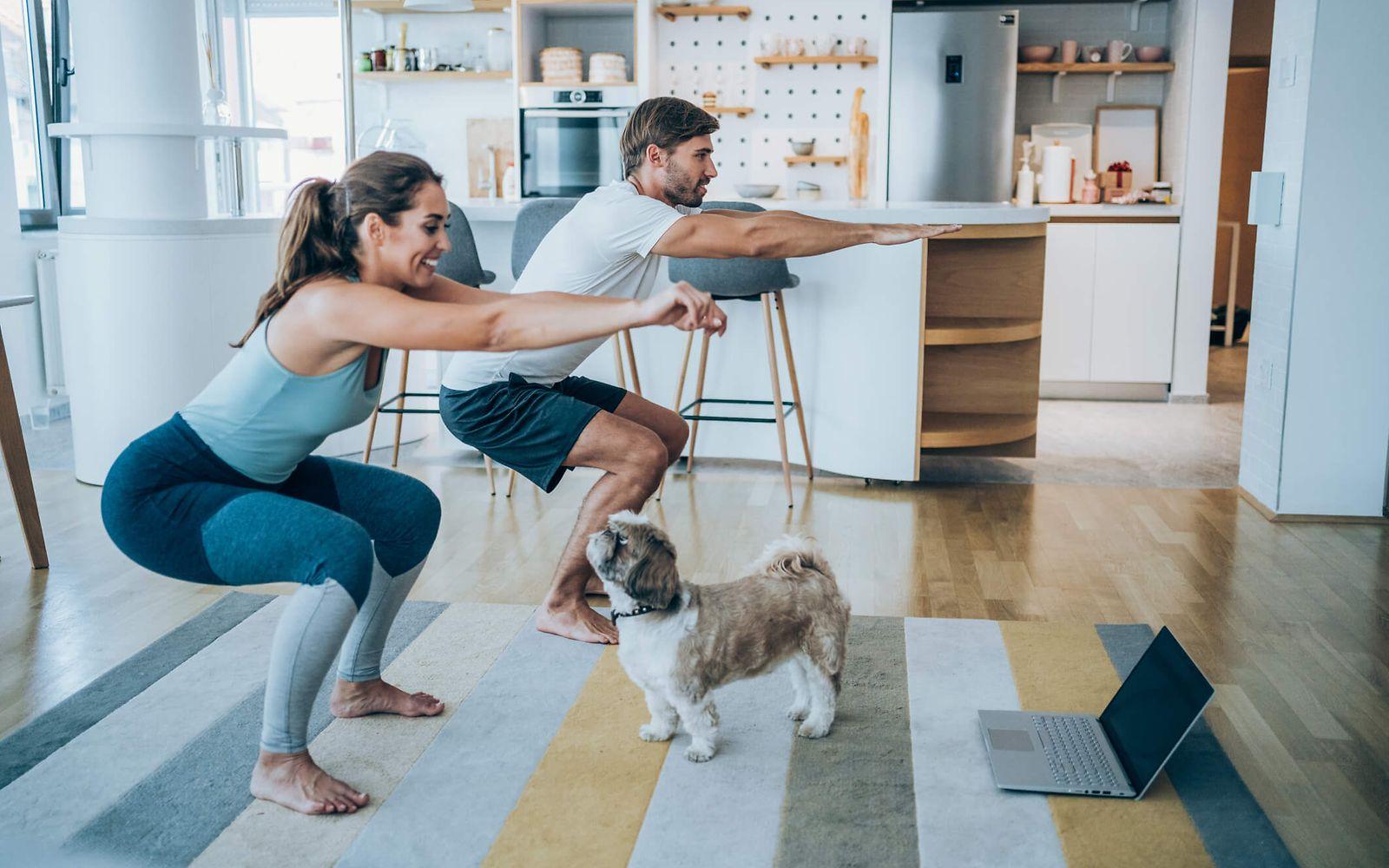 Bild: Onlineseminar Bewegung und Energiebilanz: Mann und Frau machen Kniebeugen in der Küche und ein Hund schaut zu.
