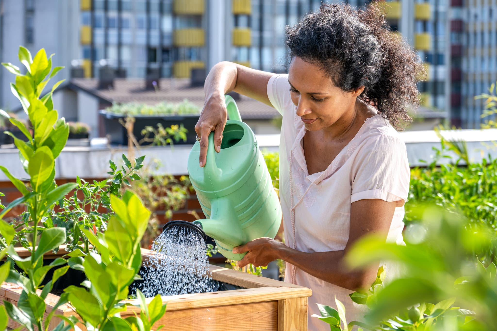 Regrowing: Frau gießt ihre Pflanzen auf der Dachterrasse. 