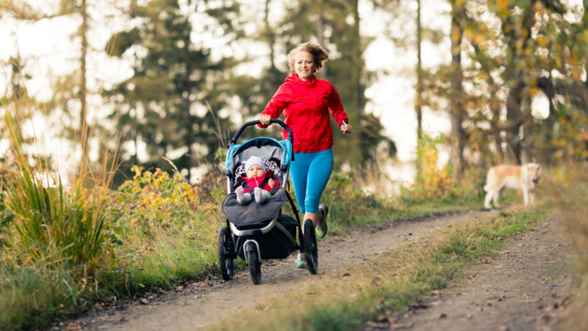 Joggen nach der Geburt: Mutter joggt mit ihrem Hund und ihrem Kind im Kinderwagen durch den Wald