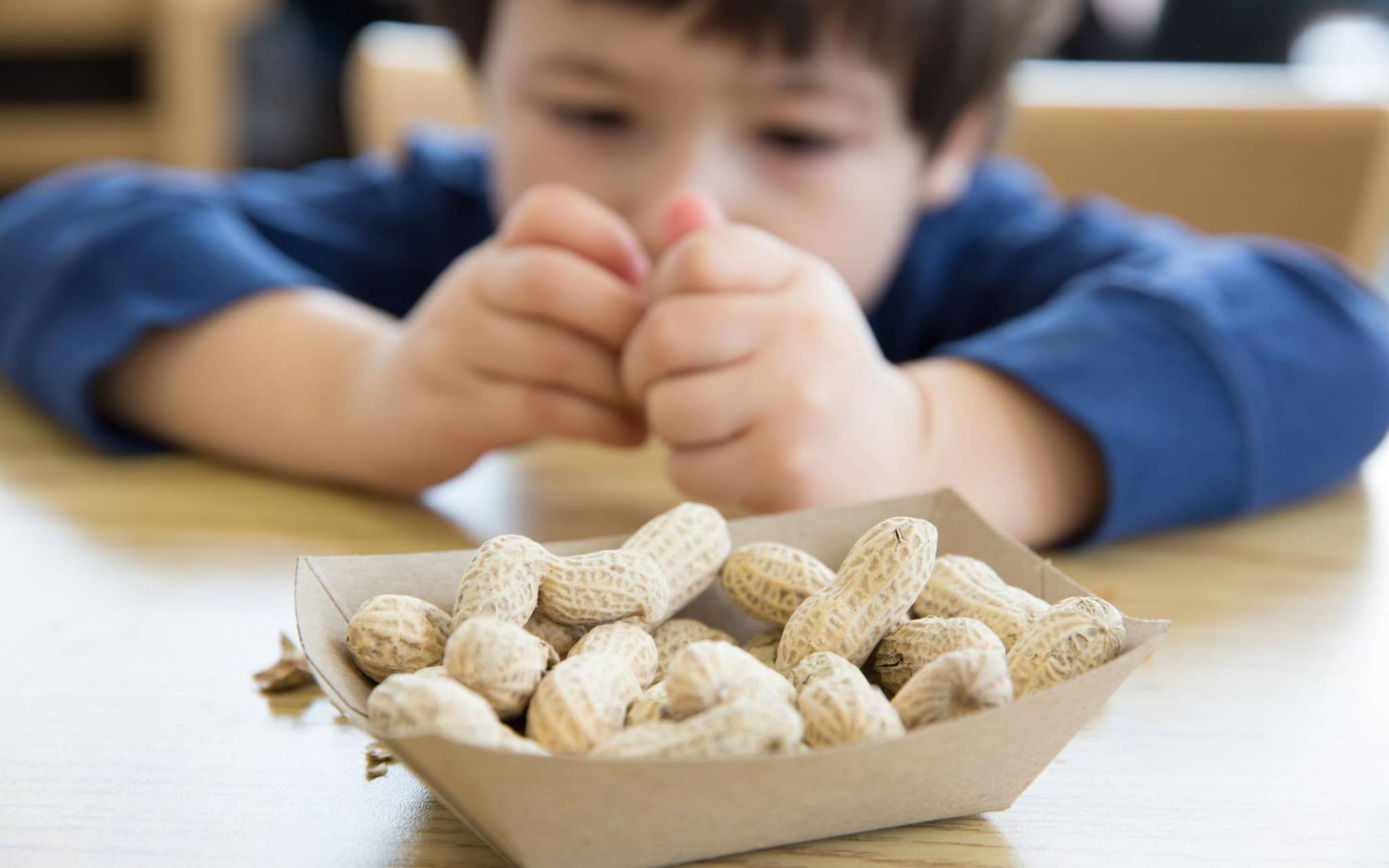 Nüsse: Ein kleiner Junge sitzt vor einer Portion Erdnüsse und betrachtet eine einzelne Erdnuss.