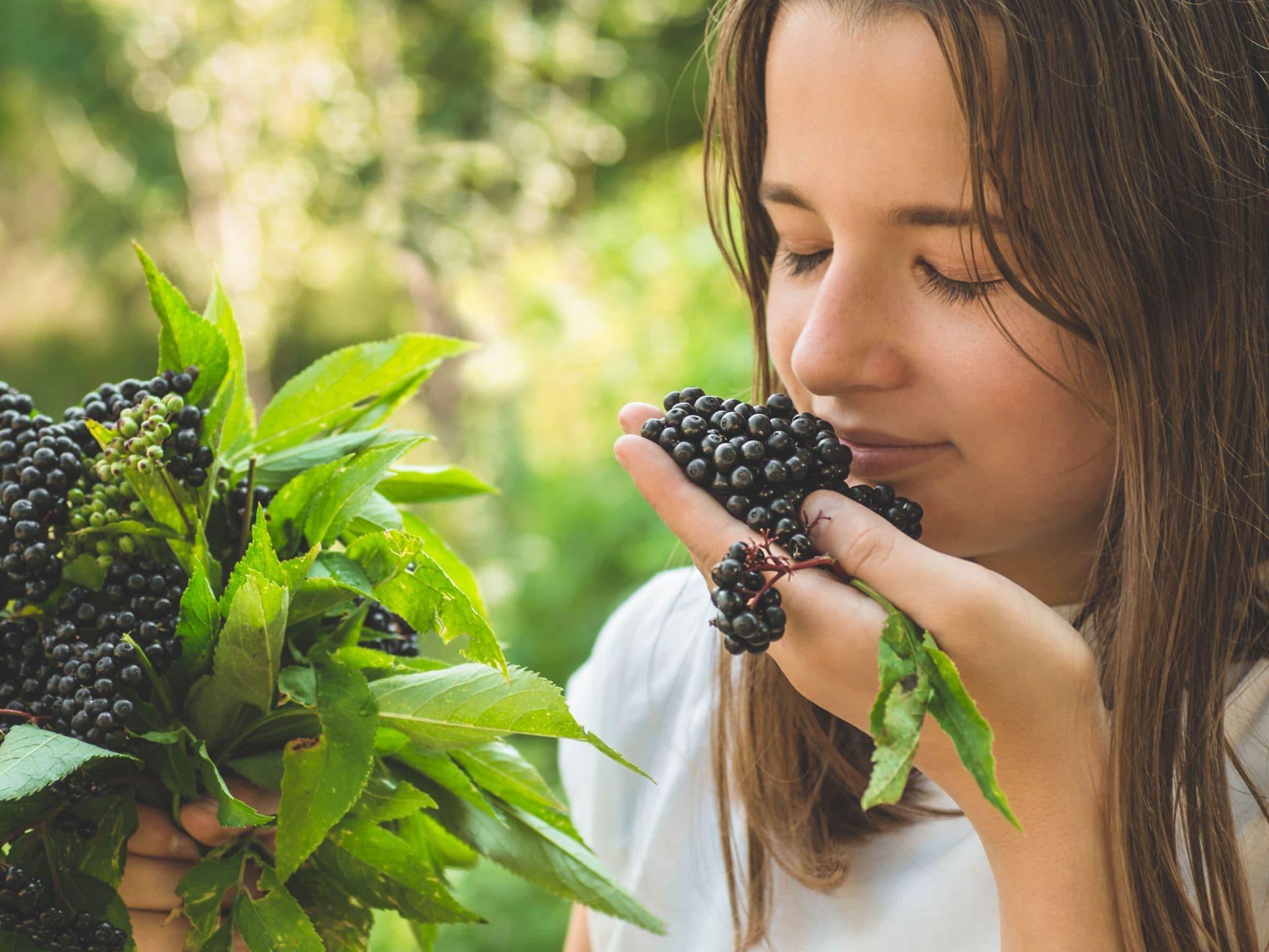 Bild: Junges Mädchen riecht an einer Dolde reifen Holunders.