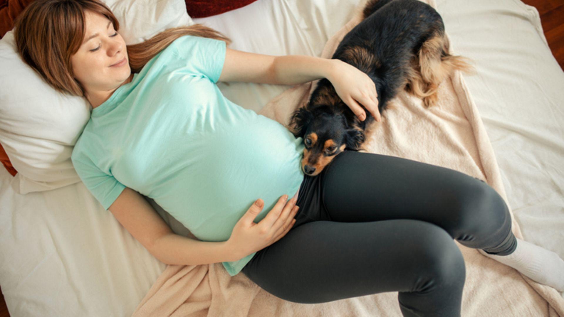Karpaltunnelsyndrom Schwangerschaft: Eine Schwangere liegt mir ihrem Hund im Bett und entspannt sich