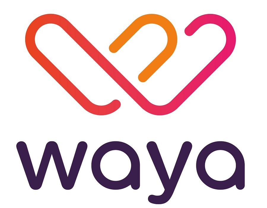 Waya-Icon