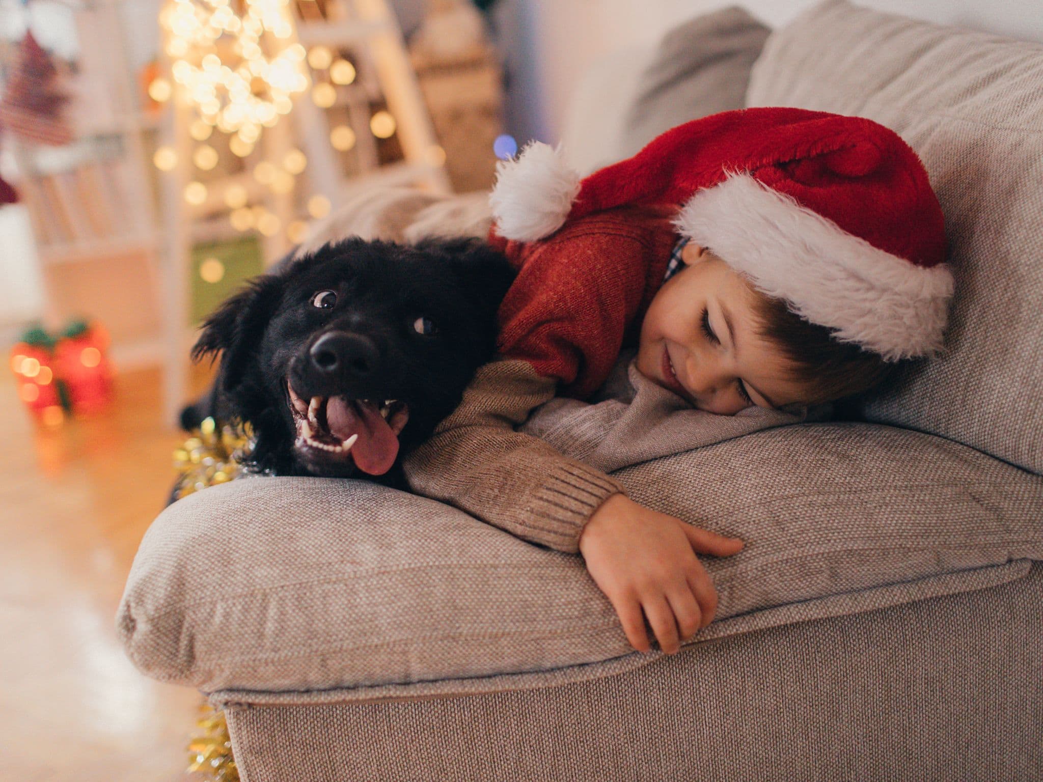 Ein Kind wartet mit seinem Hund darauf, dass der Nikolausstiefel gefüllt wird.