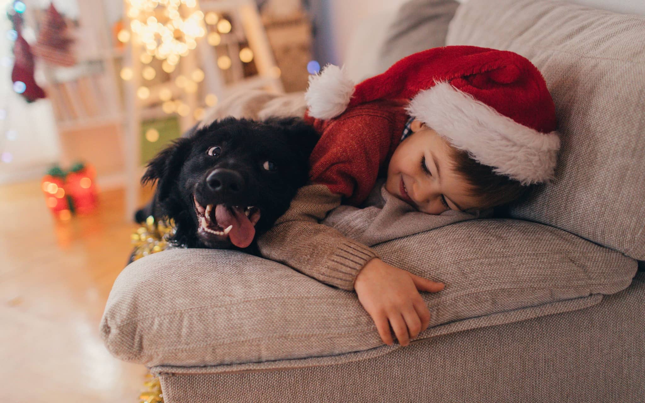 Ein Kind wartet mit seinem Hund darauf, dass der Nikolausstiefel gefüllt wird.