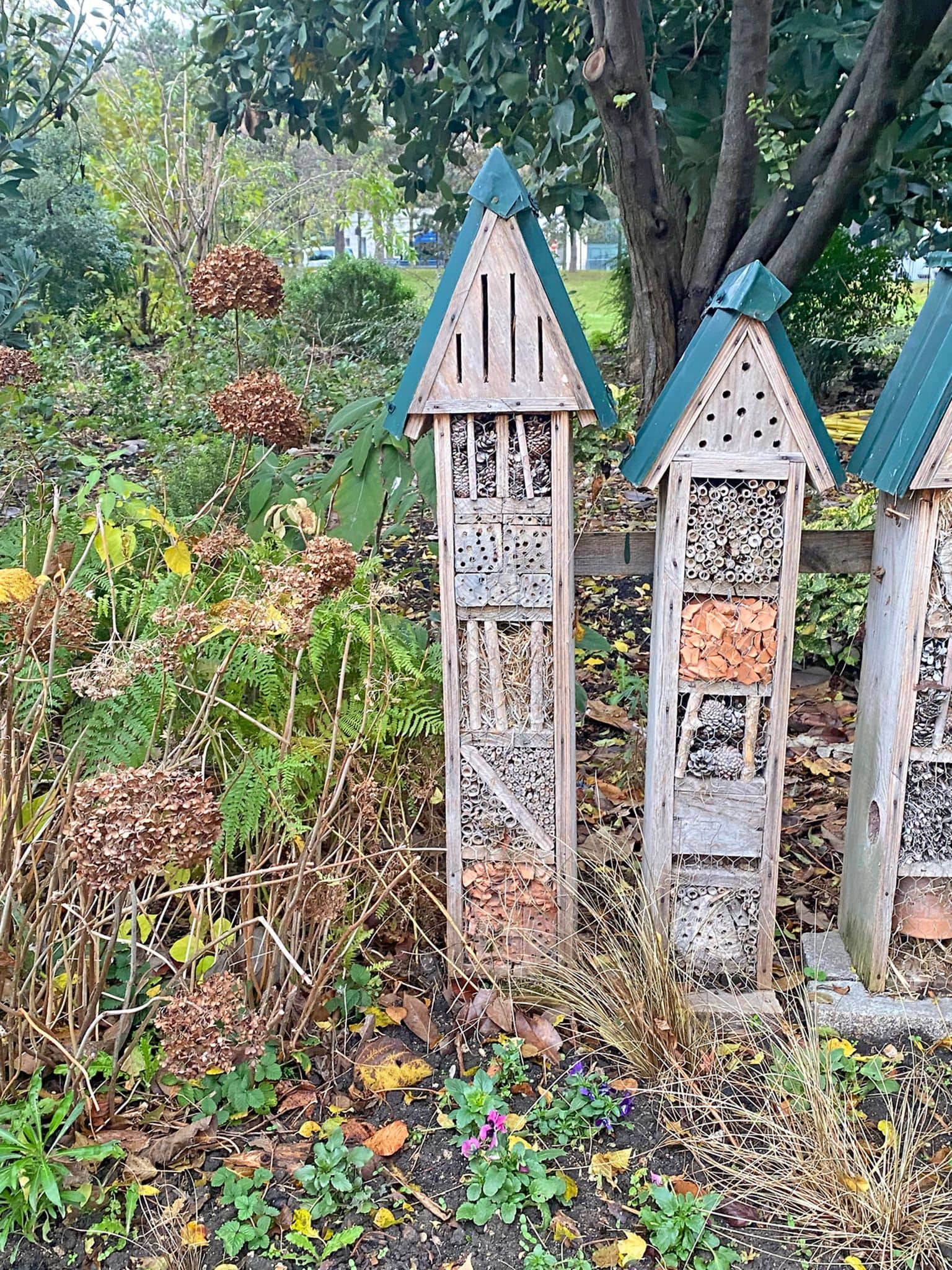 Insektenschutz: Ein Insektenhotel in einem Wildgarten