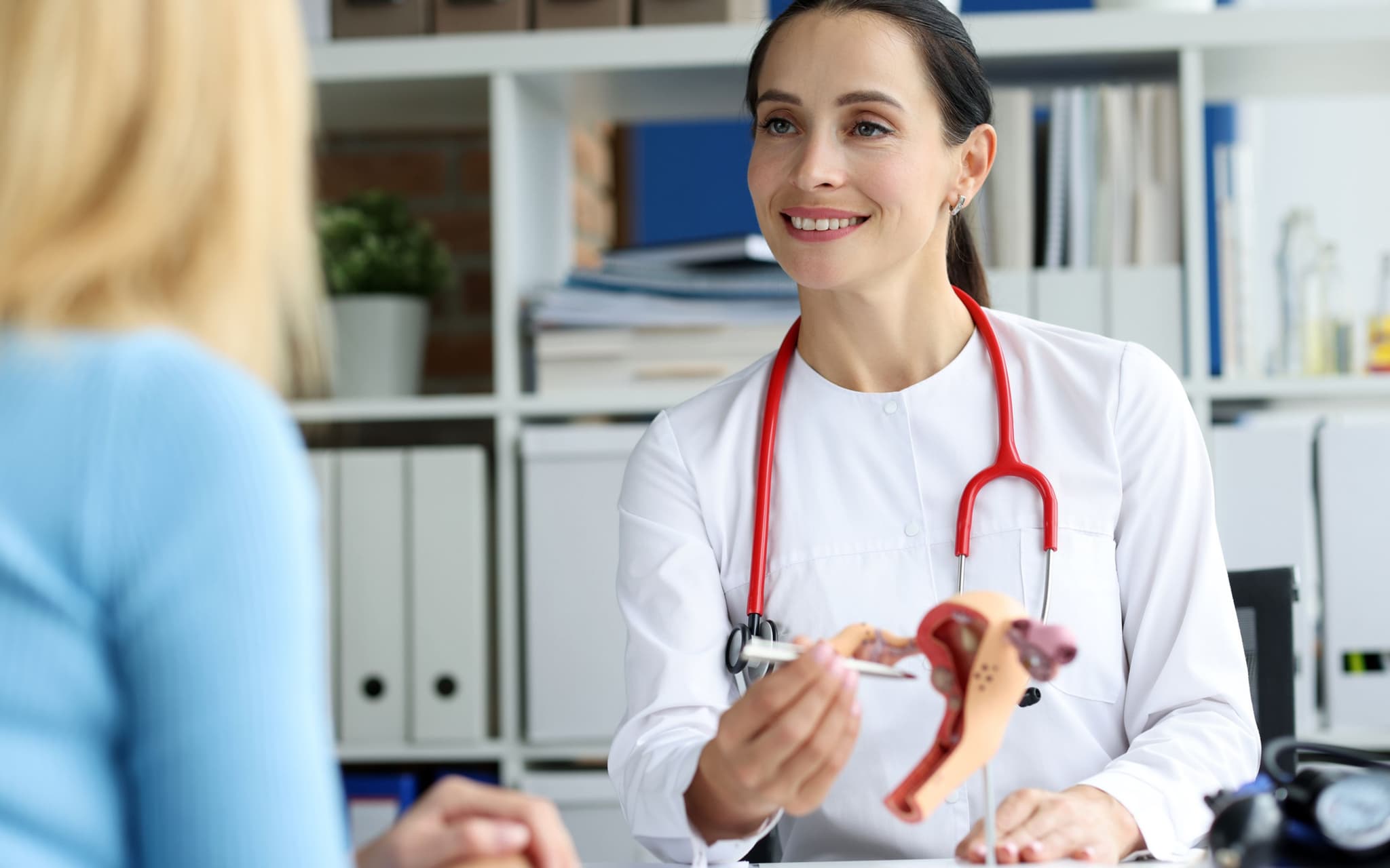 Gebärmutterentfernung: Eine Frauenärztin erklärt einer Patientin die Gebärmutter