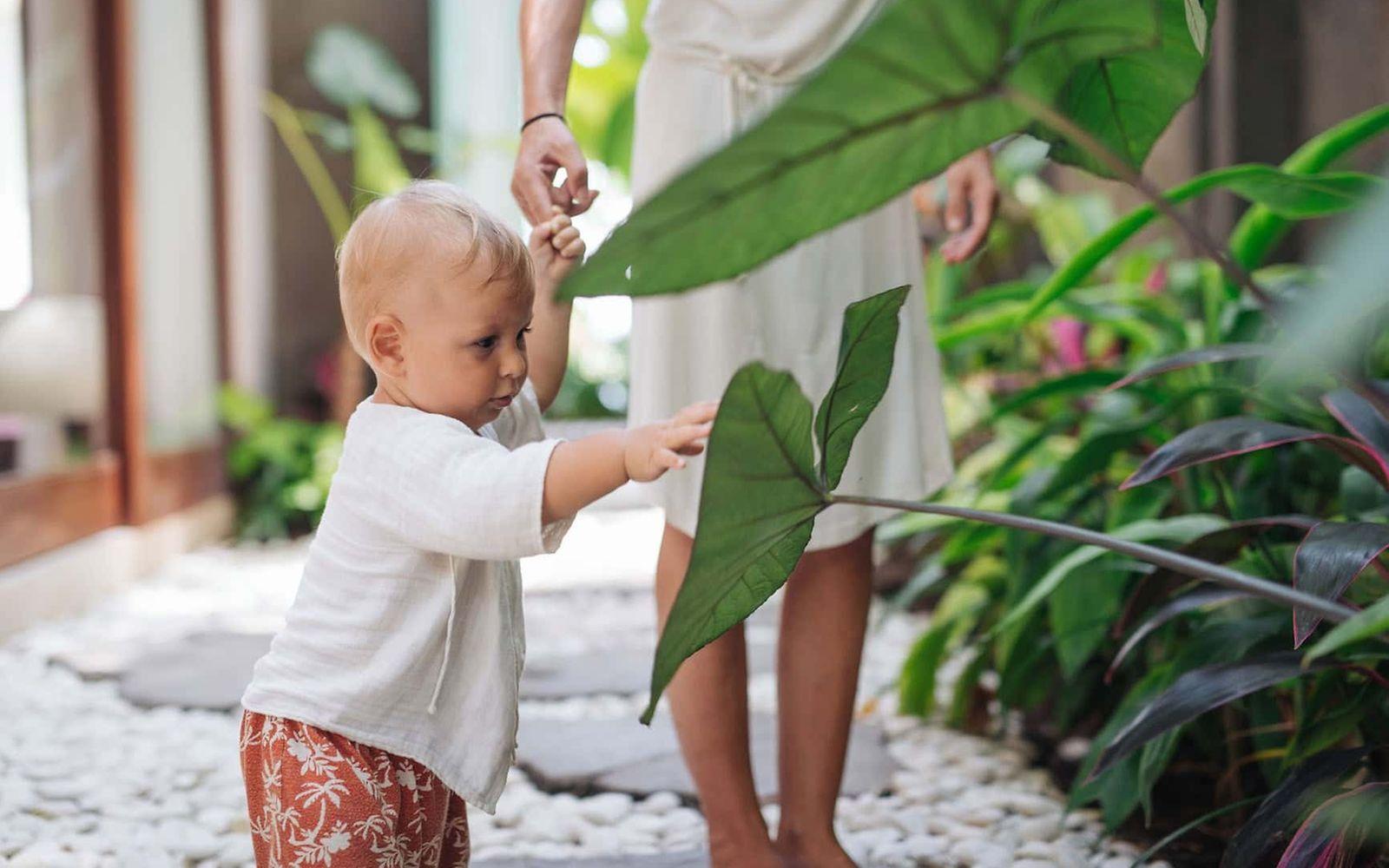 U6 Untersuchung: Kleiner Junge entdeckt an Mamas Hand das Blatt einer Pflanze.