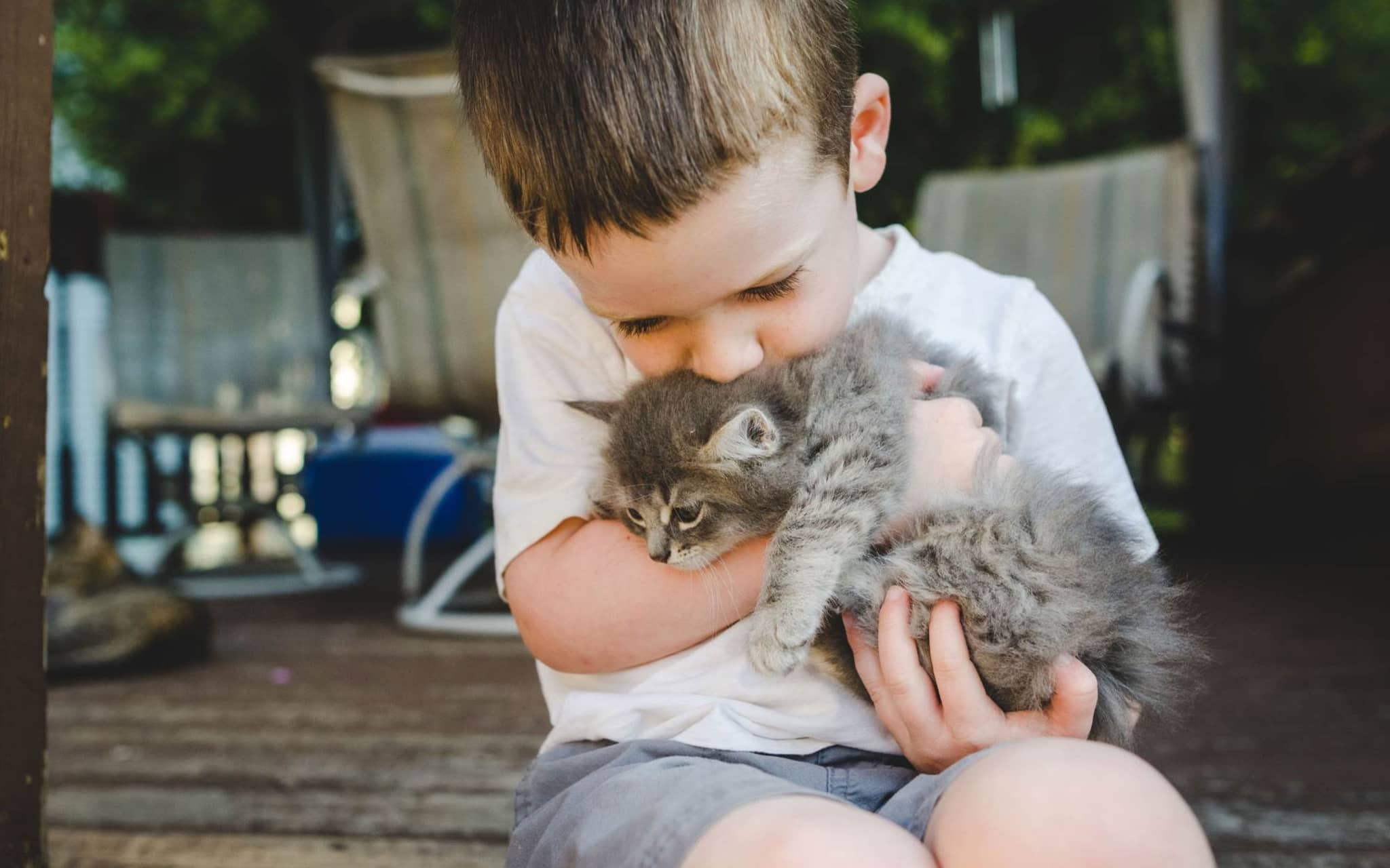 Tierhaarallergie (1)