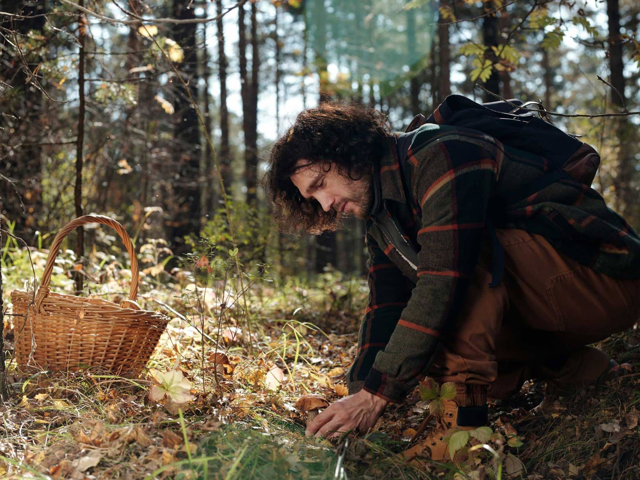 Dunkelhaariger Mann pflückt Pilz vom Waldboden