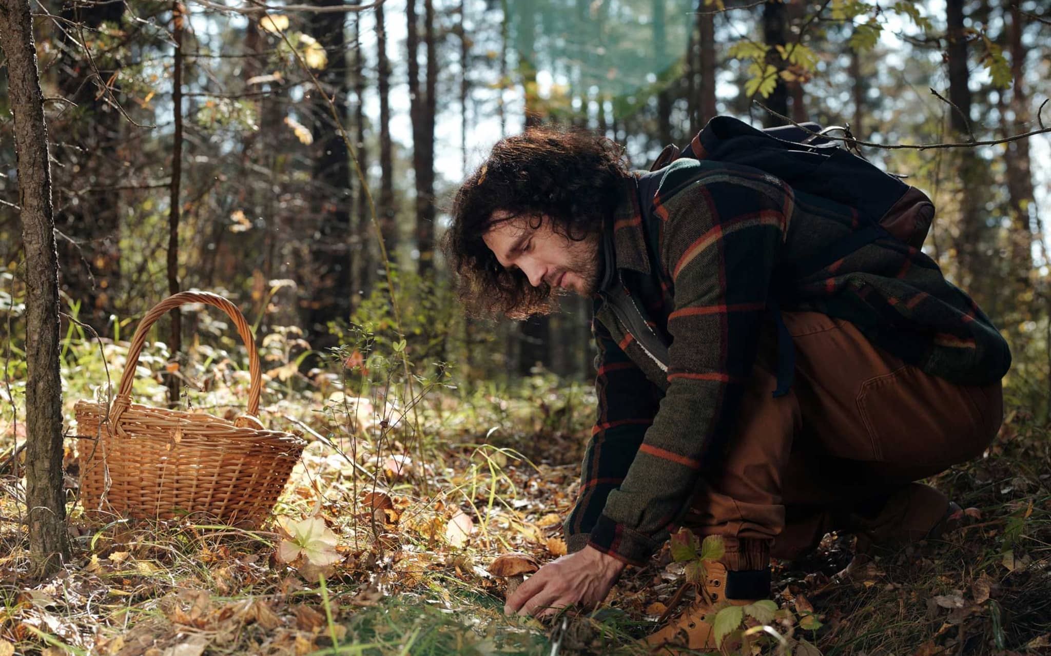 Dunkelhaariger Mann pflückt Pilz vom Waldboden
