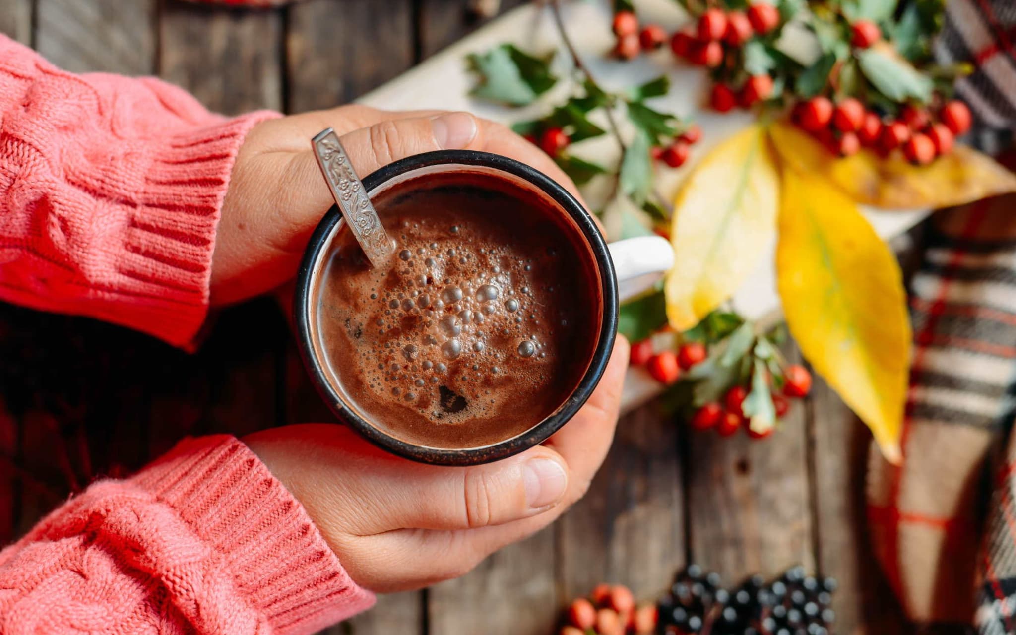 Kakao ohne Instantpulver