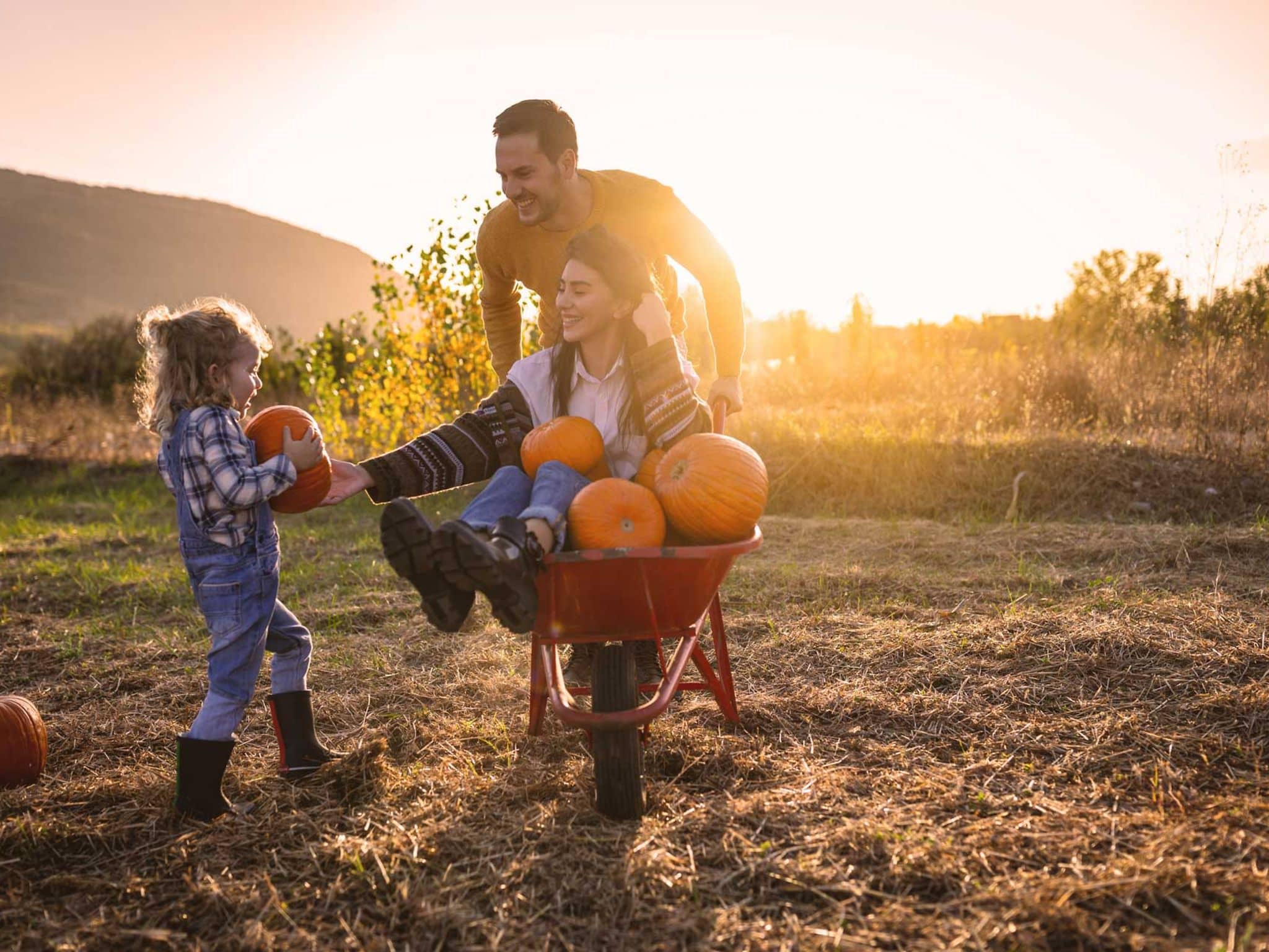Mann schiebt eine Schubkarre mit Frau und Kürbissen