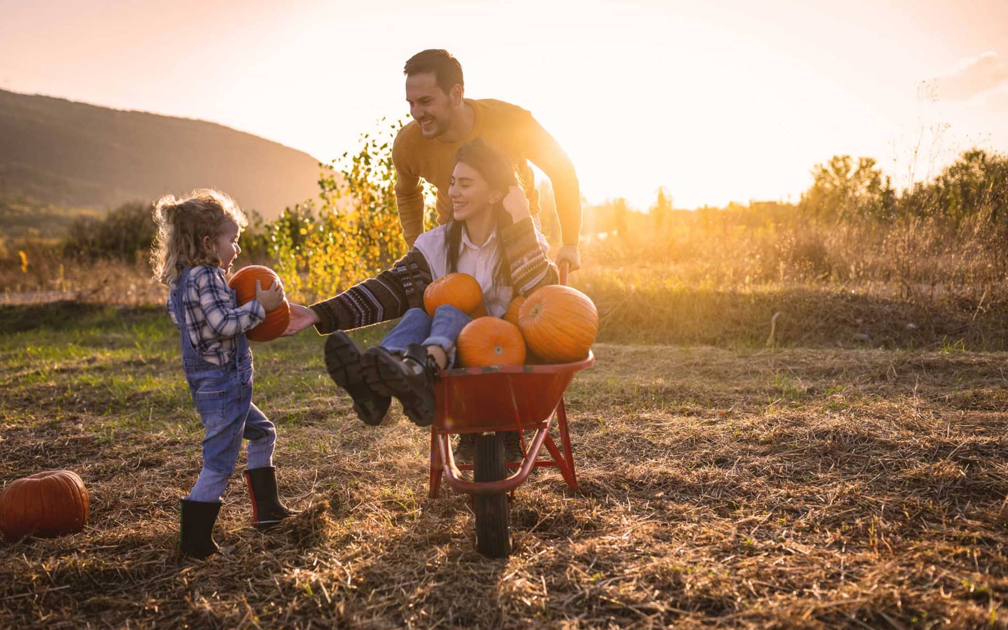 Mann schiebt eine Schubkarre mit Frau und Kürbissen