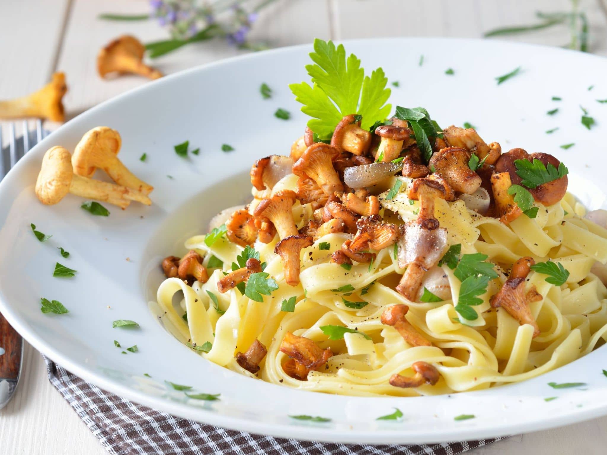 Ein Teller voll lecker angerichteter Tagiatelle Nudeln mit Pfifferlingen.
