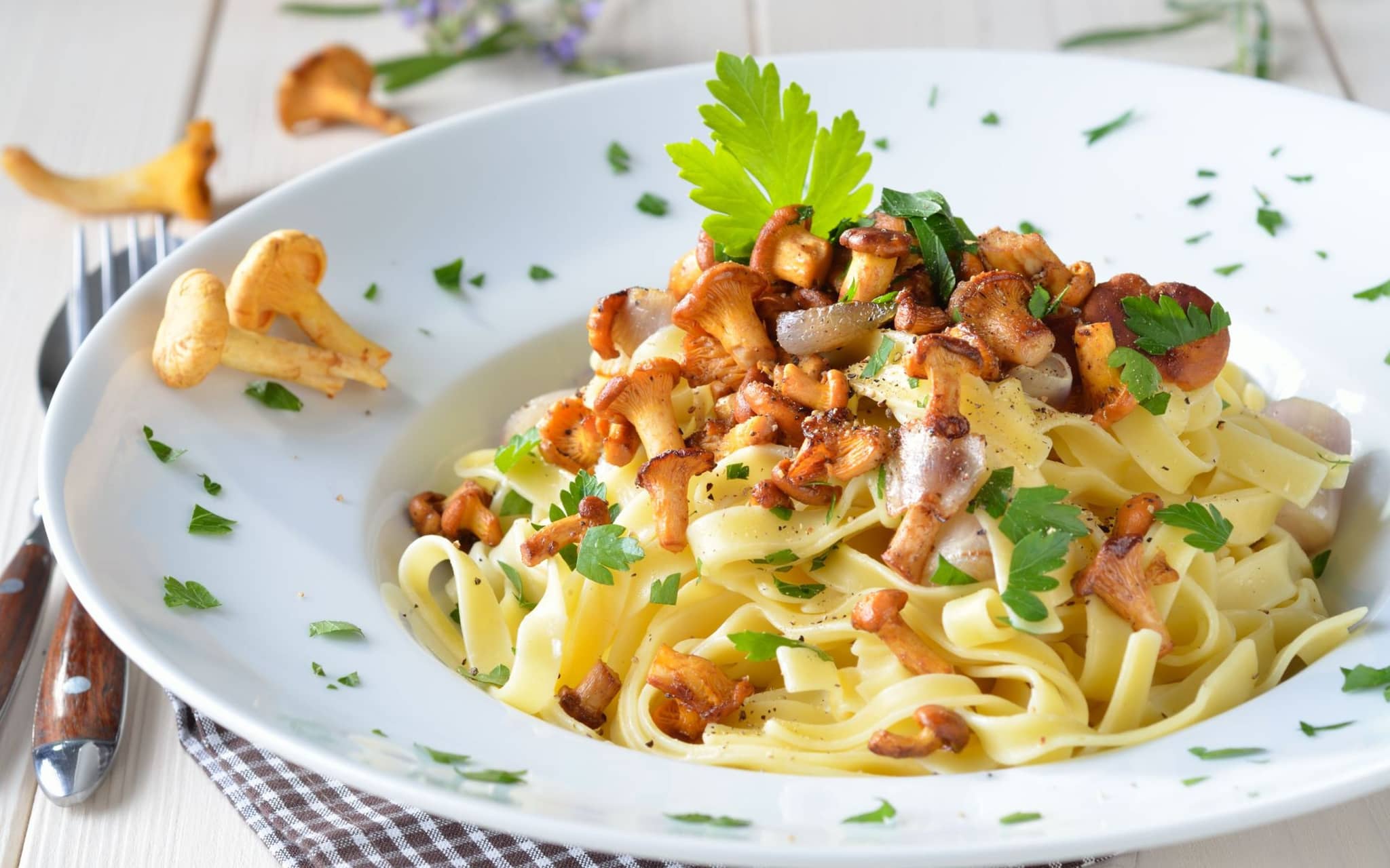 Ein Teller voll lecker angerichteter Tagiatelle Nudeln mit Pfifferlingen.
