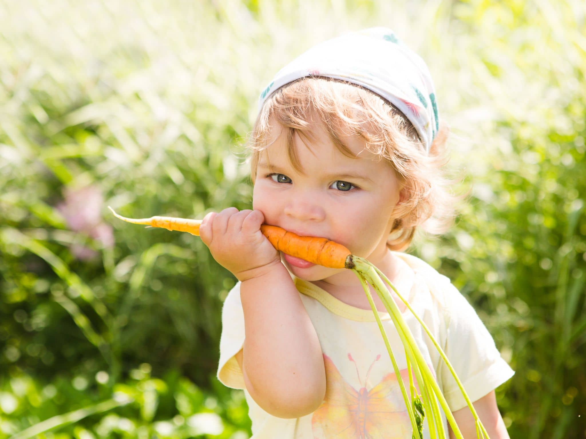 Rohkost: Kleines Kind steht im Grünen und beißt in eine rohe Karotte.