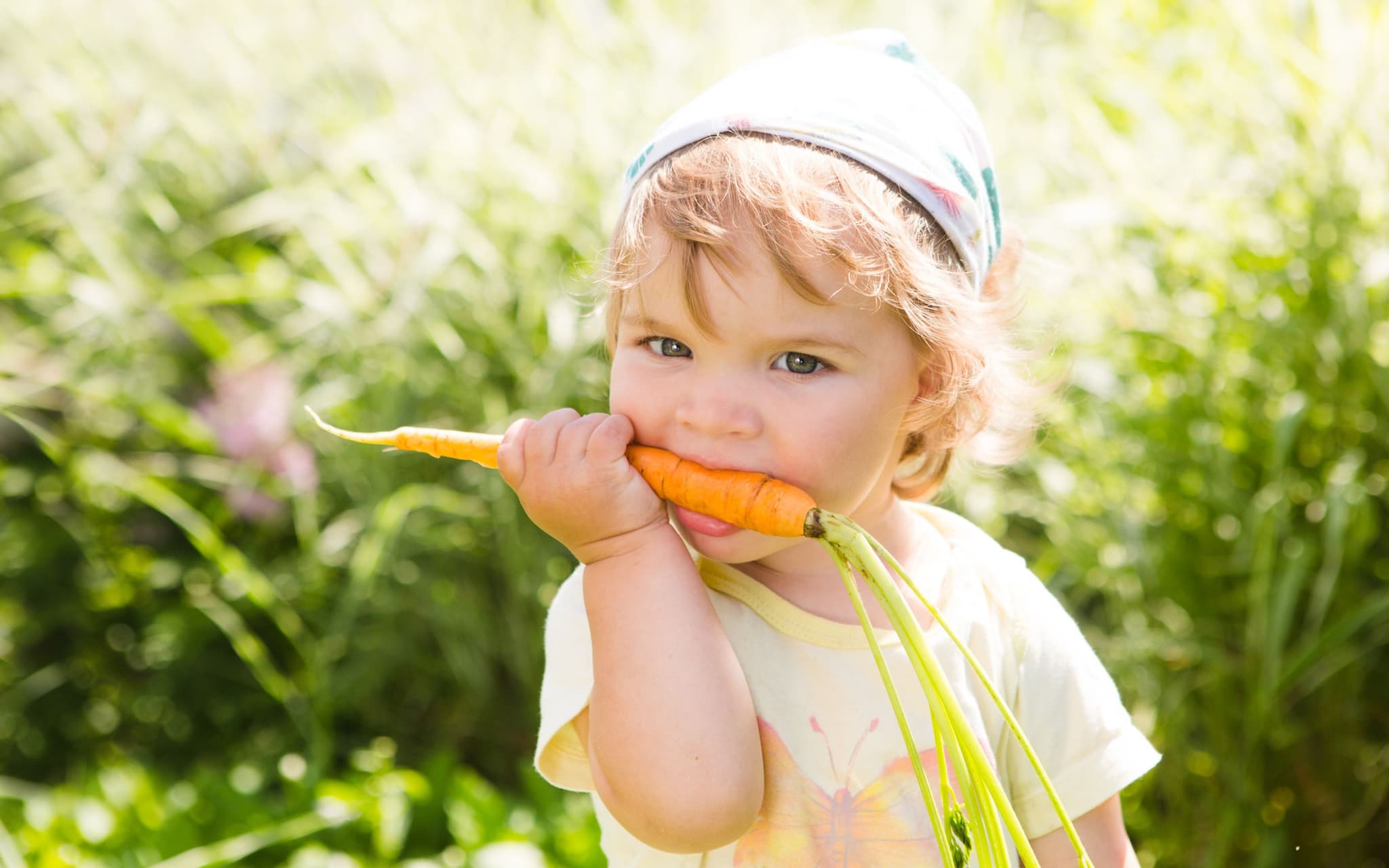 Rohkost: Kleines Kind steht im Grünen und beißt in eine rohe Karotte.