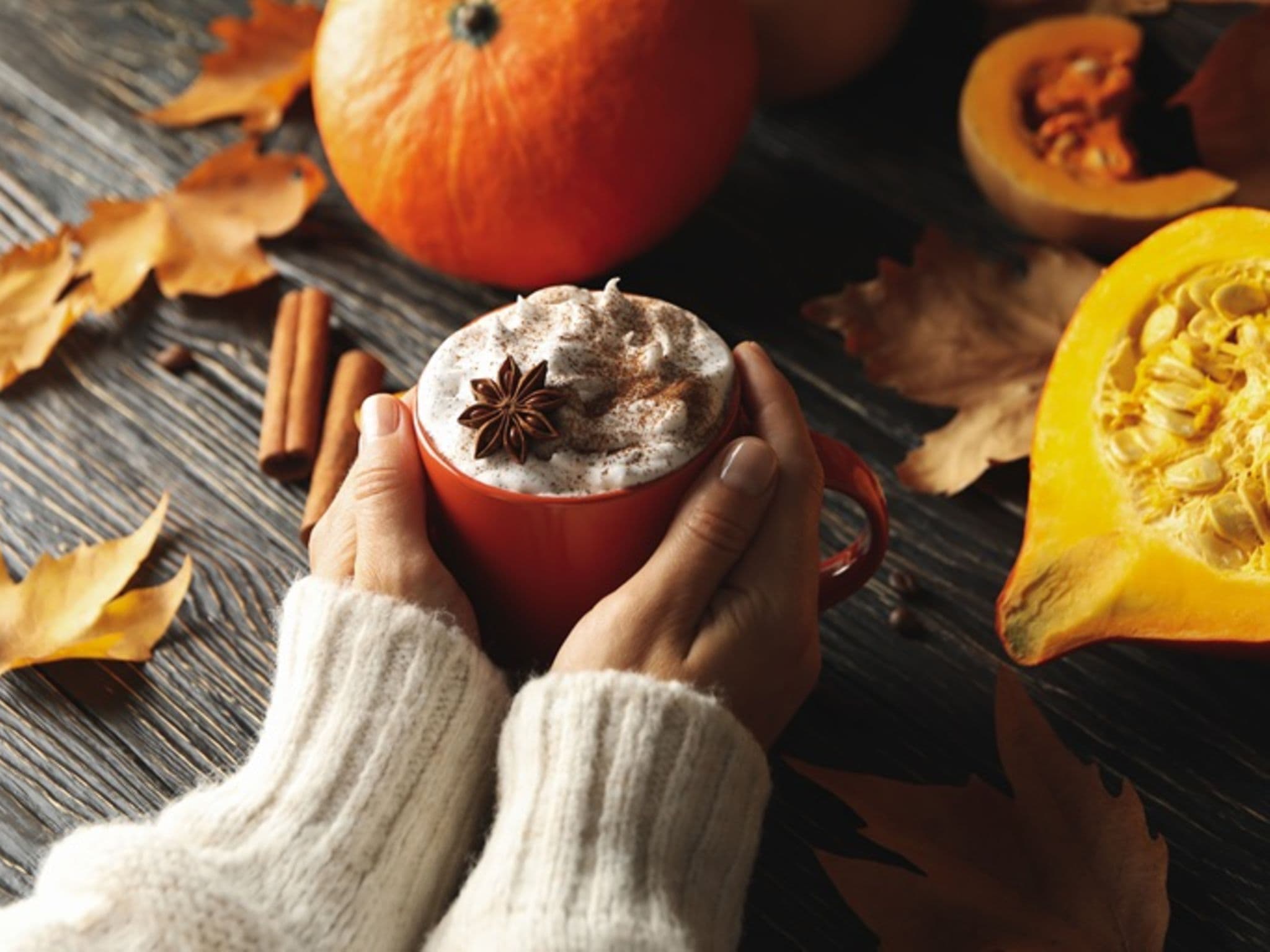 Pumpkin PIe Spice: Zwei Hände die eine Tasse halten.