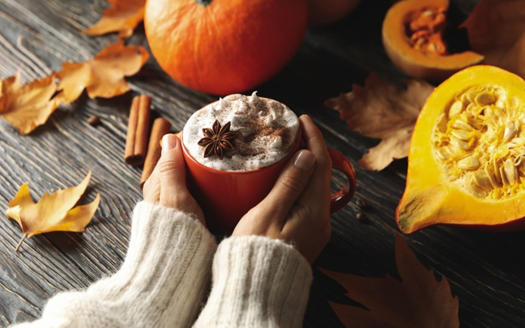 Pumpkin PIe Spice: Zwei Hände die eine Tasse halten.