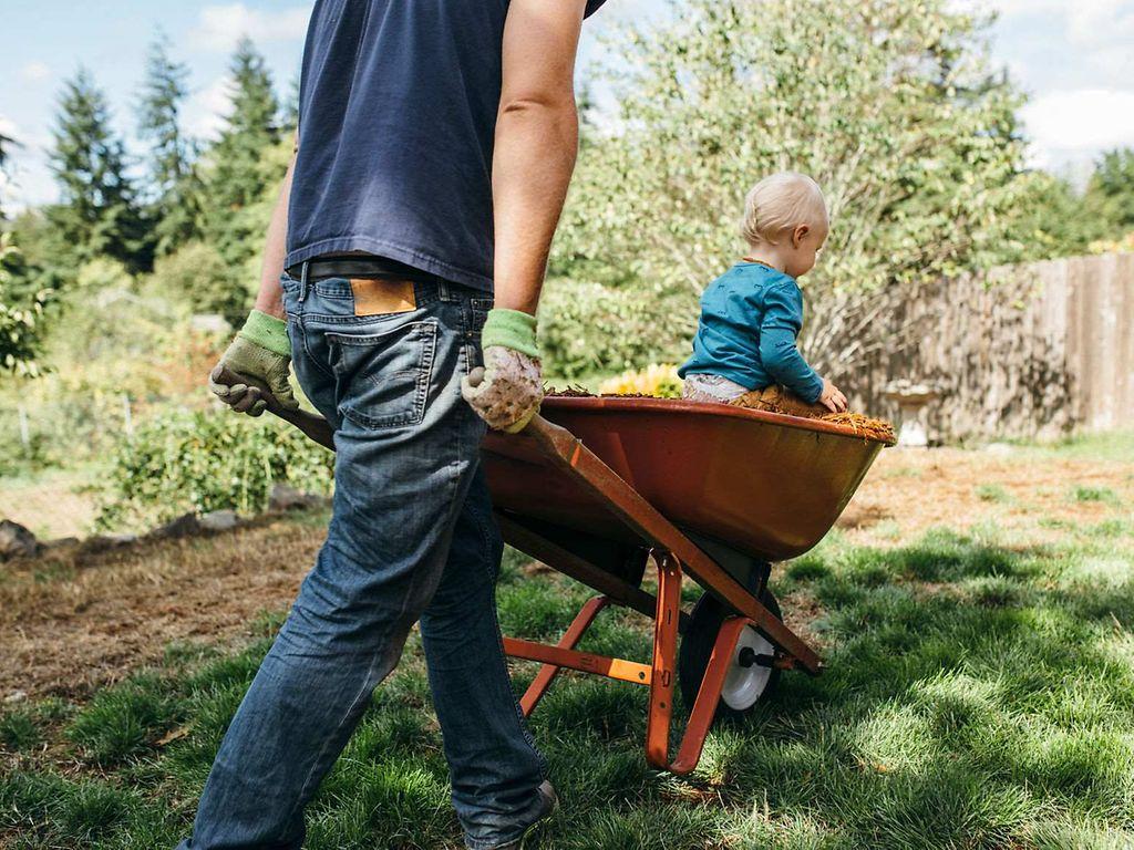 Borreliose: Mann fährt kleines Kind während der Gartenarbeit in einer Schubkarre. 