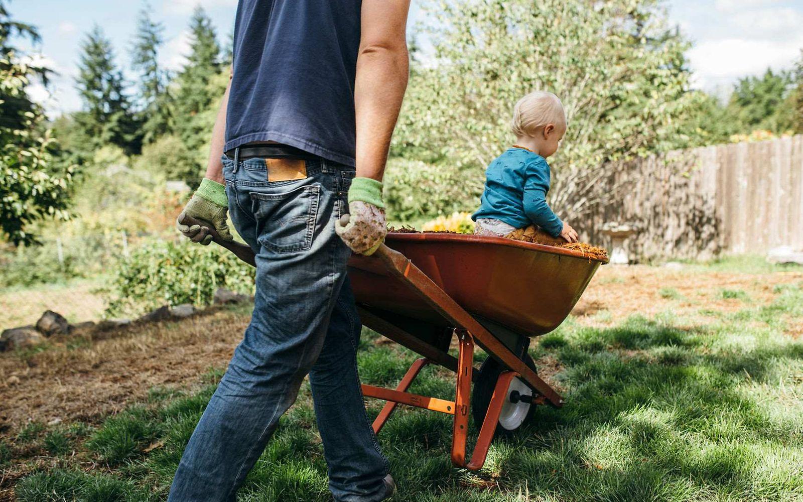 Borreliose: Mann fährt kleines Kind während der Gartenarbeit in einer Schubkarre. 