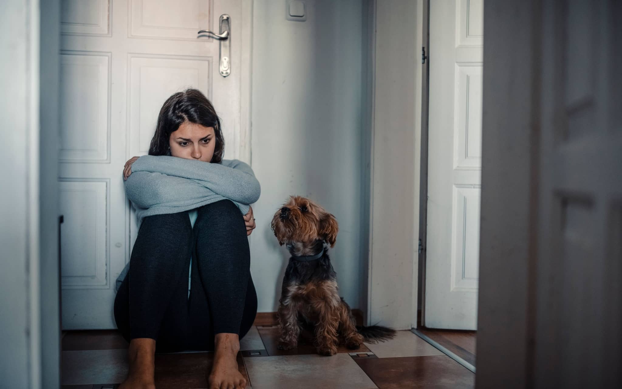 Akute Belastungsstörung: Eine junge Frau sitzt auf dem Fußboden und schaut ins Leere, neben ihr sitzt ein Hund