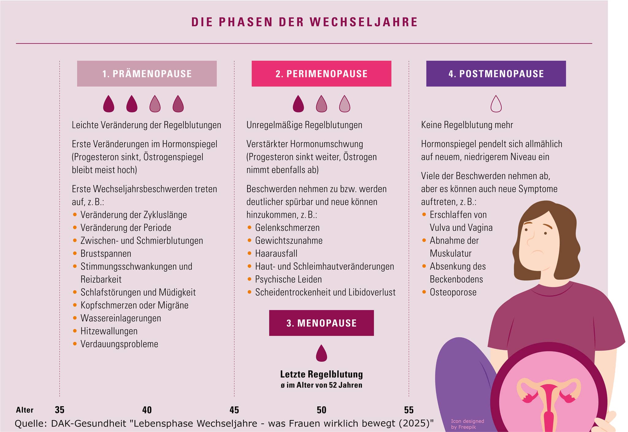 Wechseljahre in Deutschland: Grafik, die die Phasen der Wechseljahre darstellt
