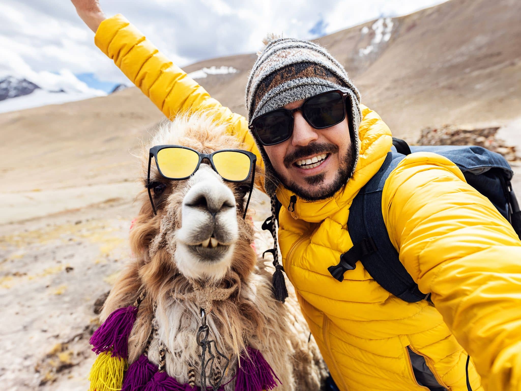 Mann mit Sonnenbrille und Lama mit Sonnenbrille machen ein Selfie.