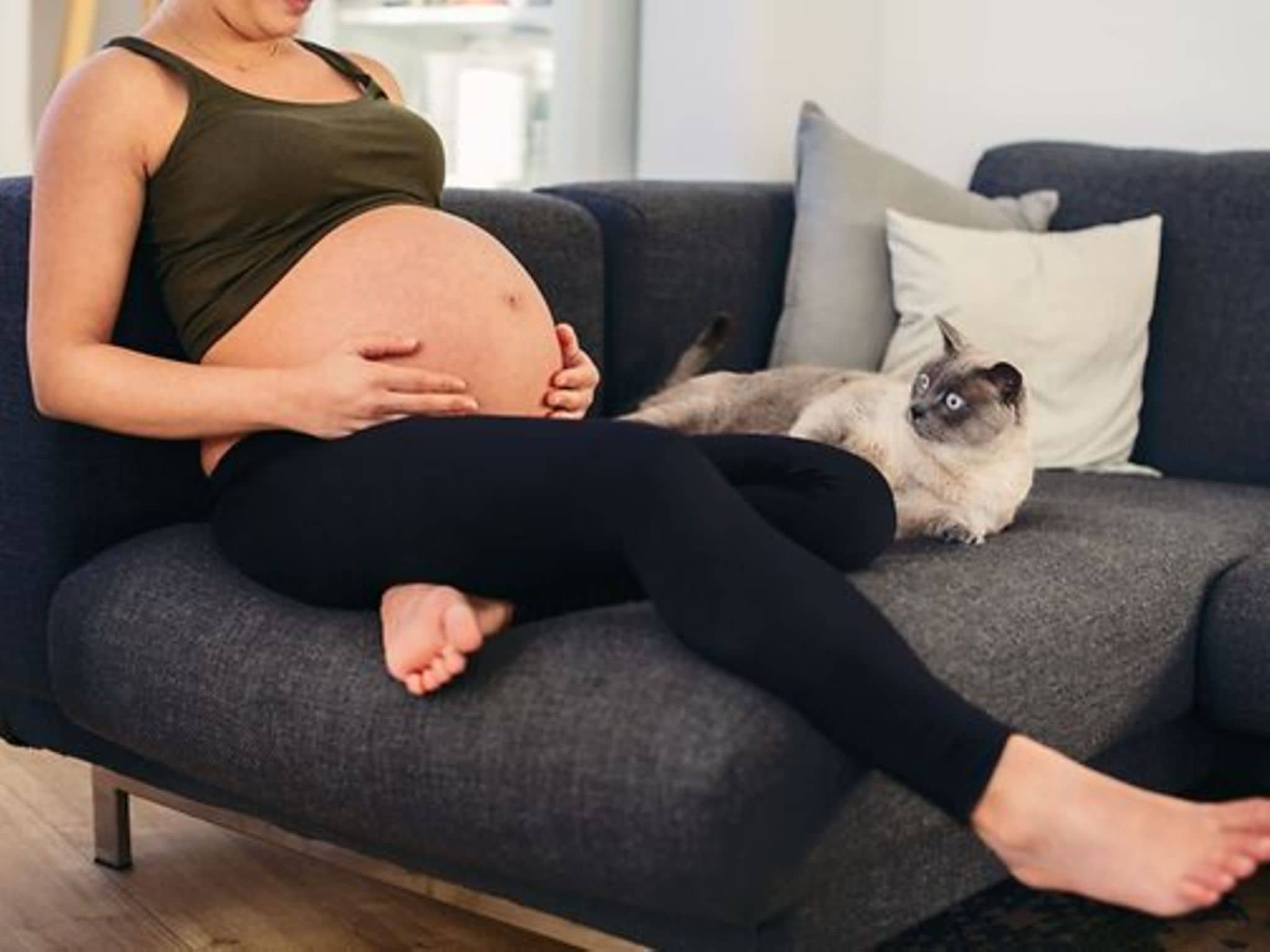 Anonyme schwangere Frau sitzt auf der Couch in der Nähe ihrer Katze.