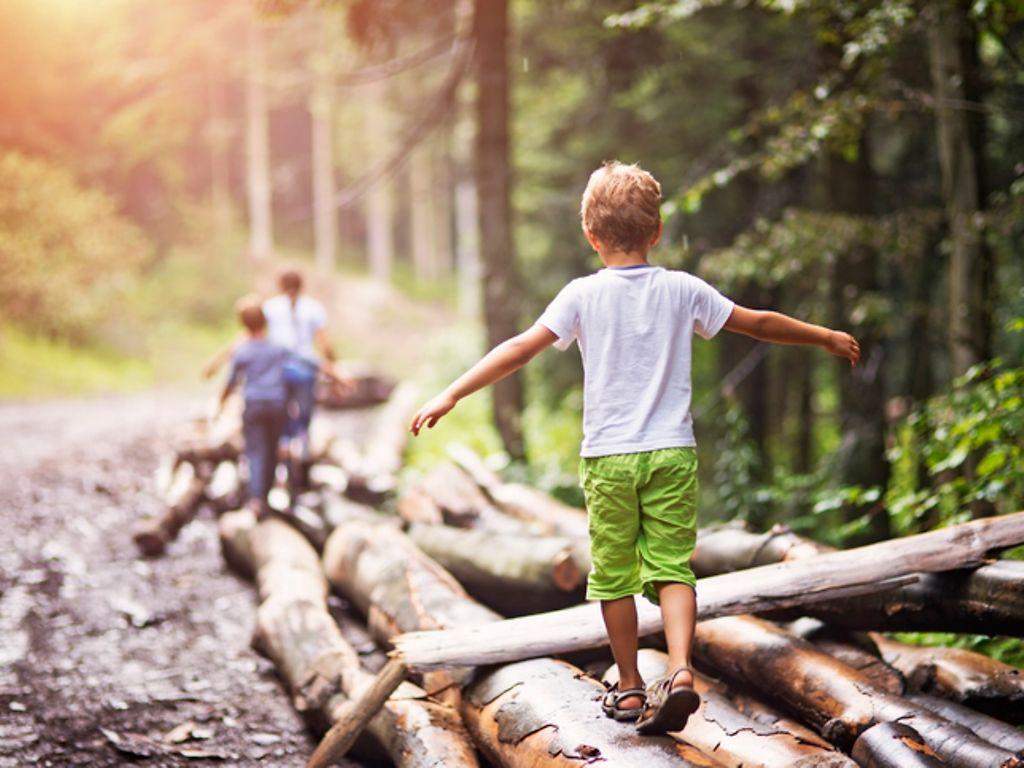 Wandern: Eine Familie wandert durch den Wald, ein Junge balanciert auf einem Baumstamm.
