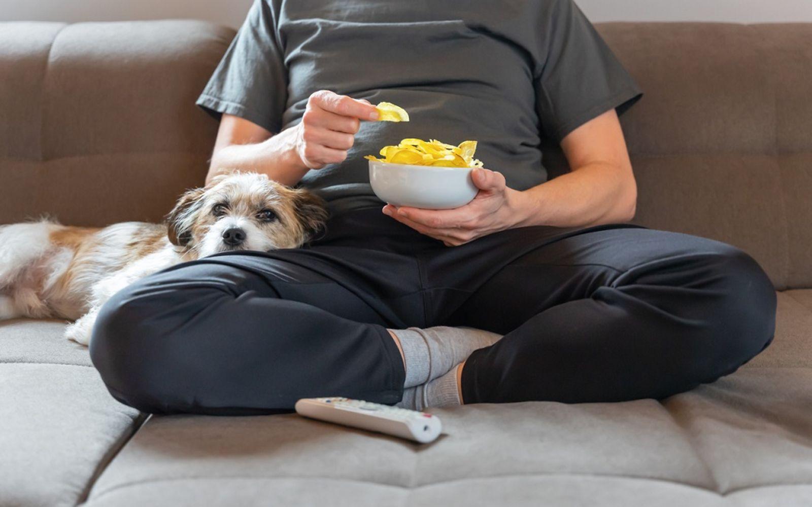 Diabetes mellitus Typ 2: Mann sitzt mit Chips in der Hand und Hund auf dem Schoß auf der Couch.