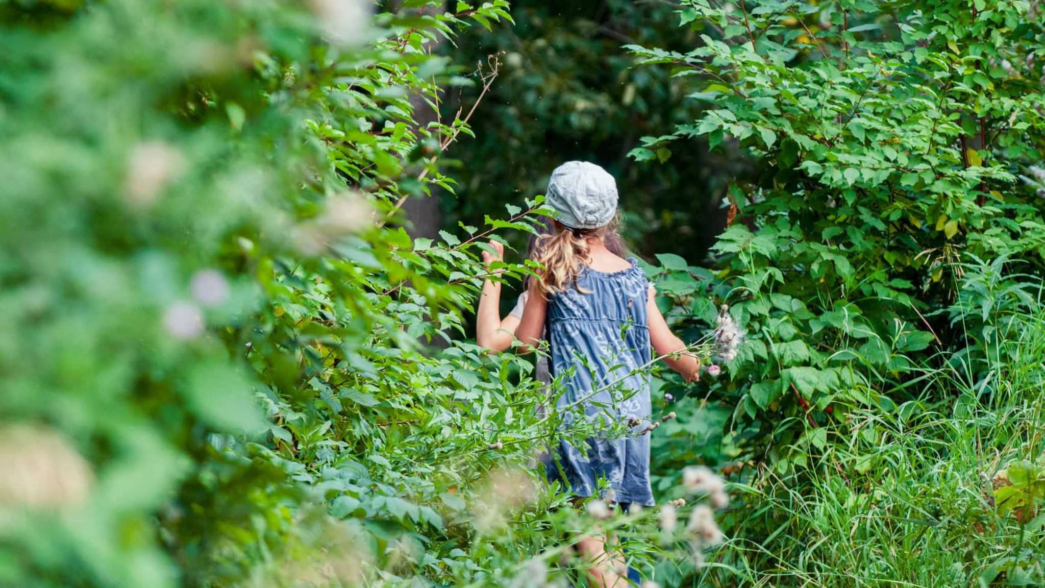 Zeckenstich: Mädchen im kurzen Kleid geht in dichte grüne Büsche.