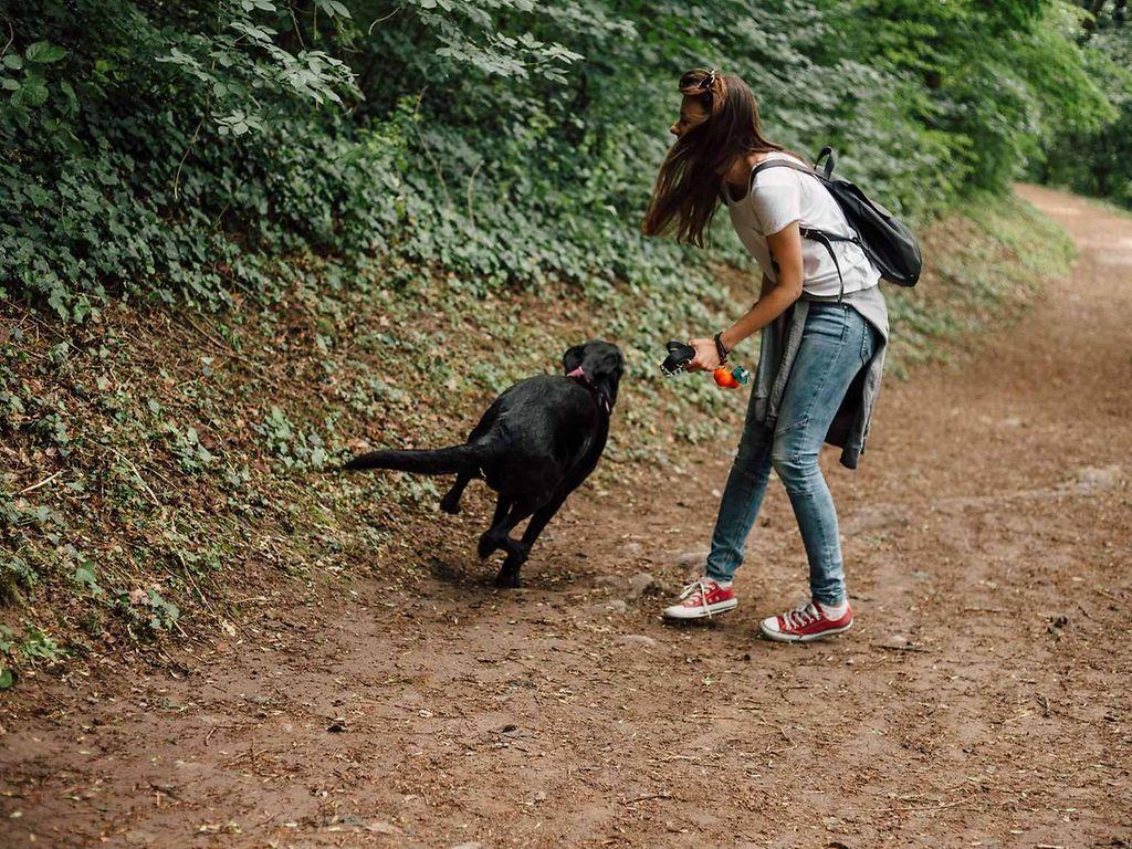 Fuchsbandwurm: Frau spielt mit Hund im Wald
