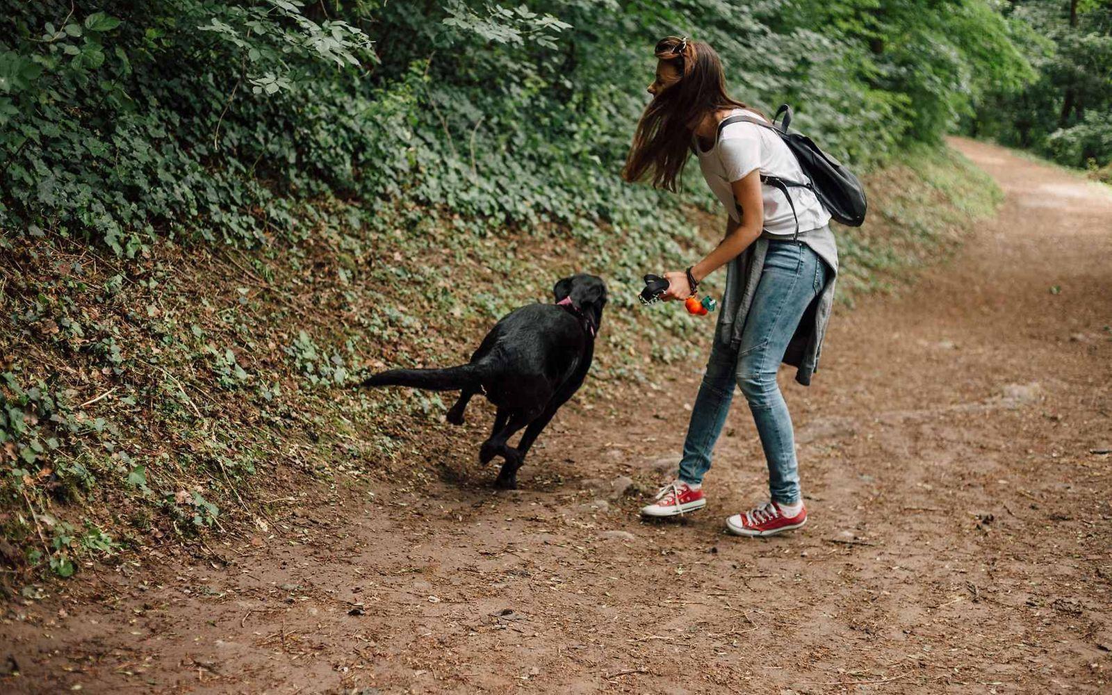 Fuchsbandwurm: Frau spielt mit Hund im Wald