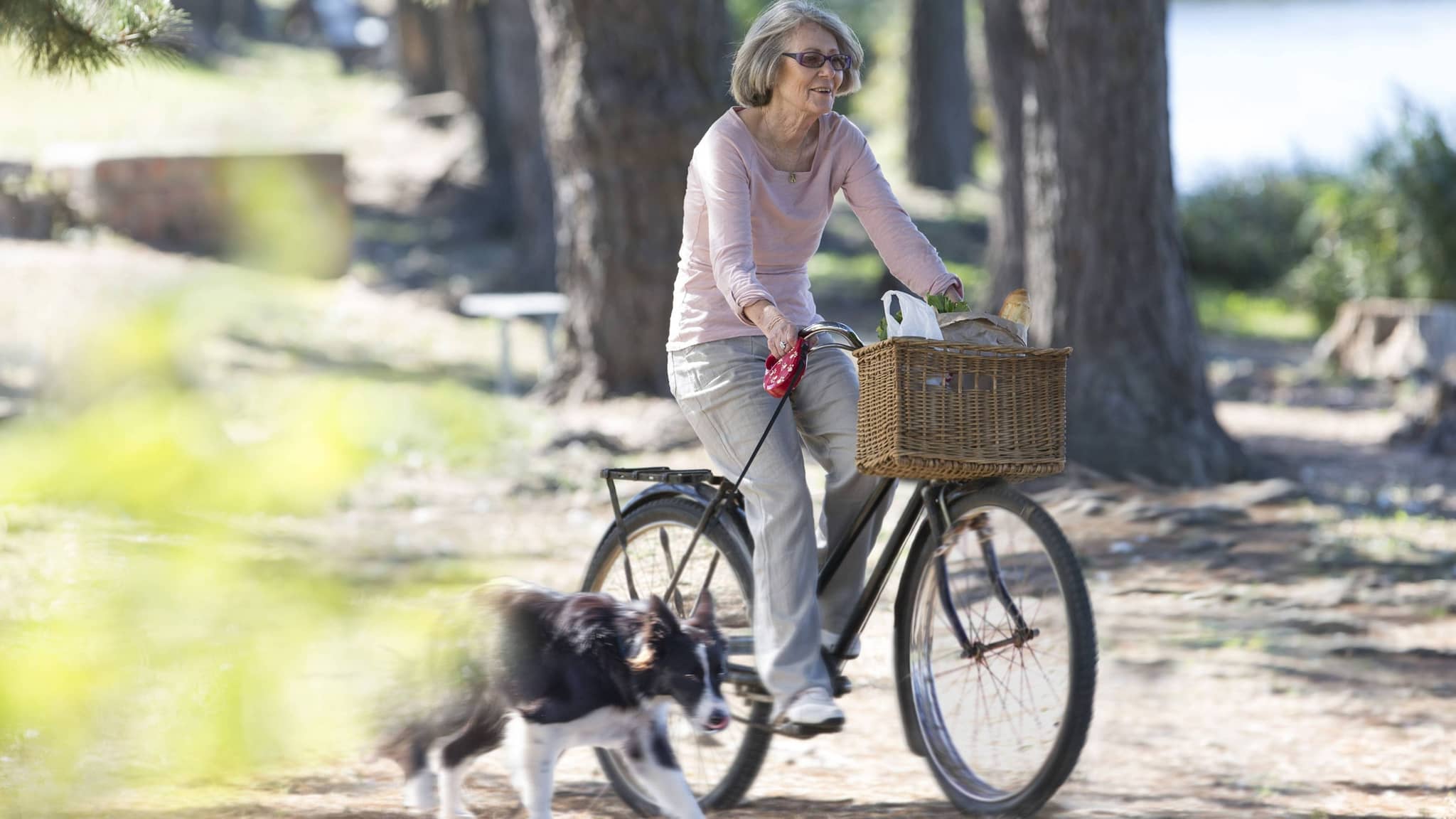 Seniorin fährt Fahrrad, hält dabei eine Leine für den Hund, der neben ihr durch den Park läuft.