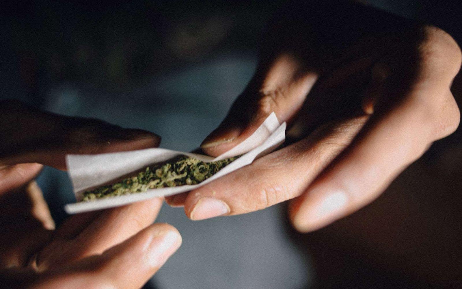 Cannabis auf Rezept: Hände drehen einen Joint. 