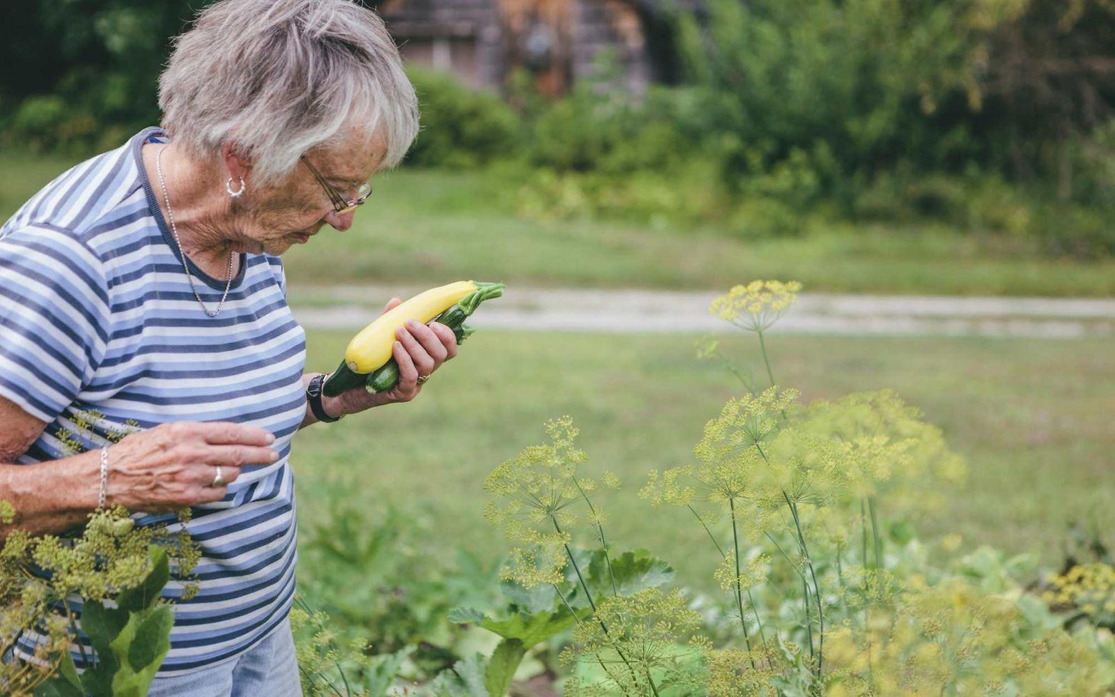 Morbus Crohn: Ältere Frau mit Zucchini in der Hand schaut in ein Gemüsebeet.