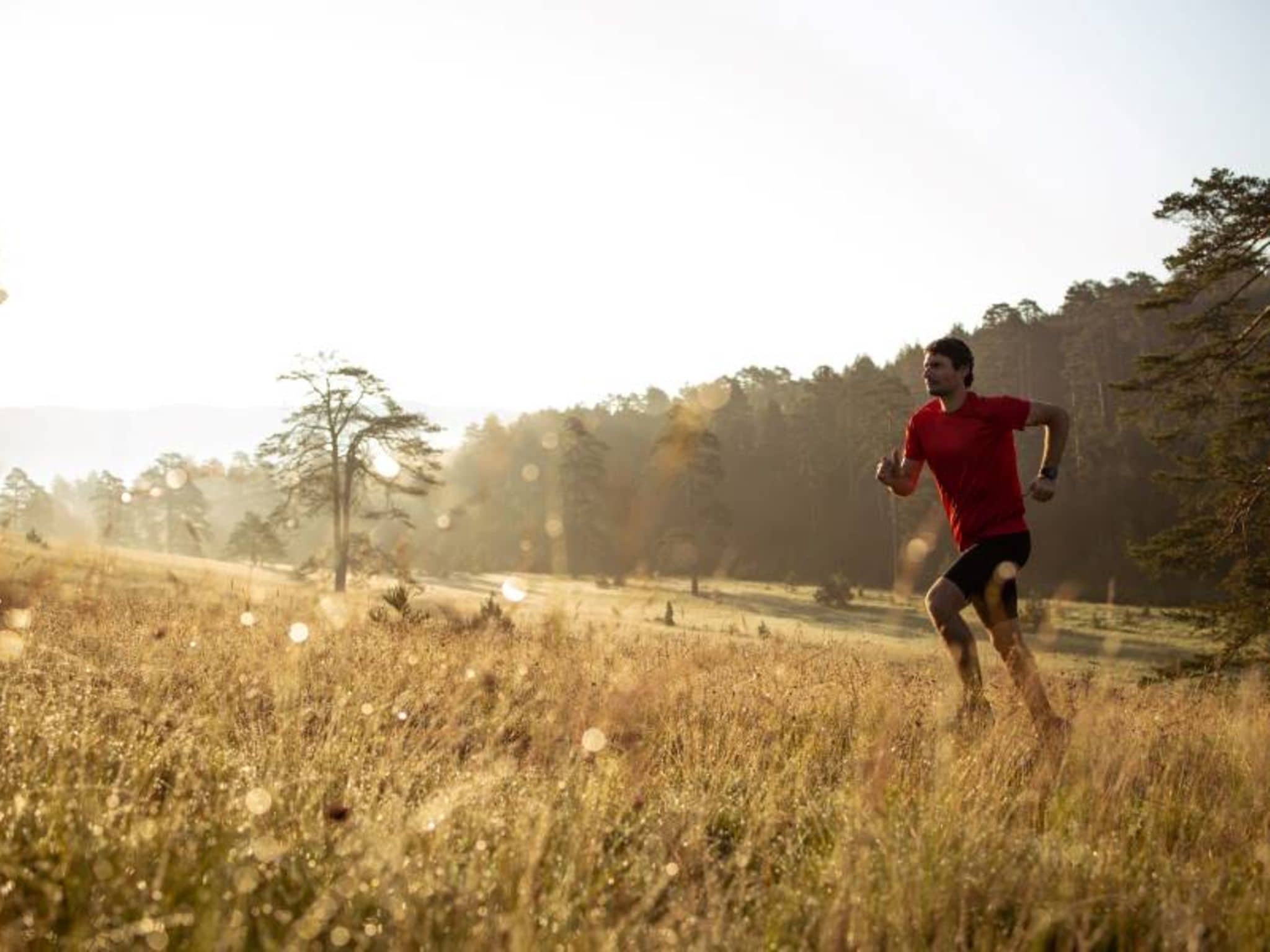Junger Mann läuft bei Sonnenaufgang einen Berg hoch