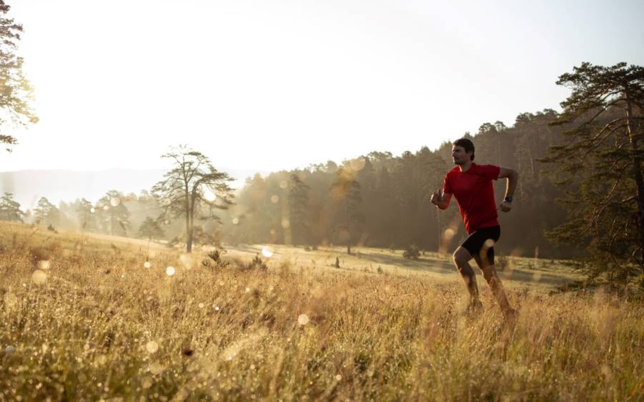 Junger Mann läuft bei Sonnenaufgang einen Berg hoch