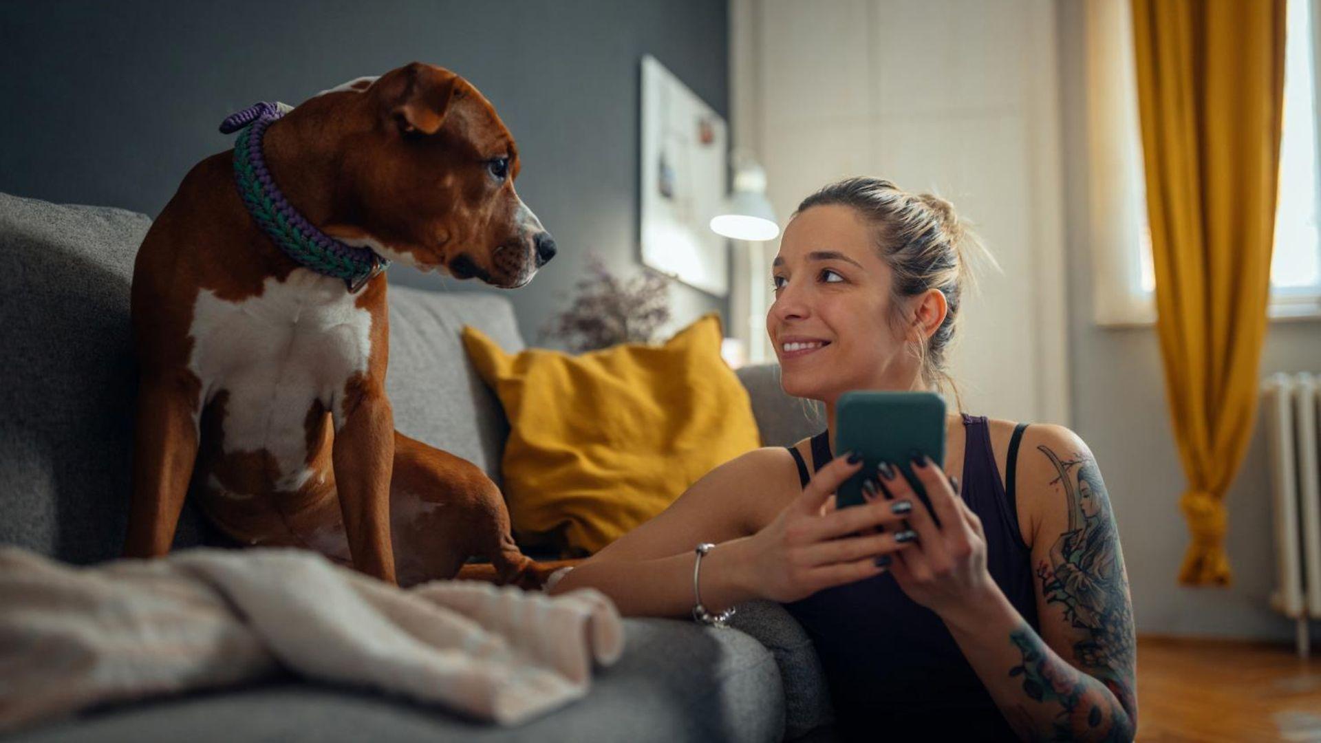 Digitalpost: Junge Frau hält ihr Handy in der Hand und schaut erfreut ihren Hund an