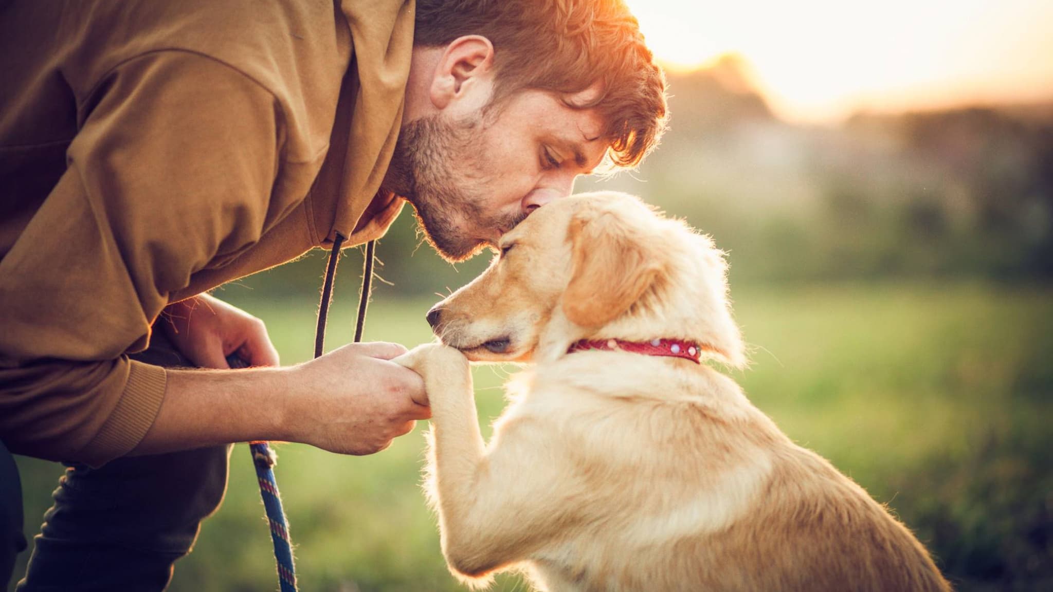 Endlich weniger Stress: Mann küsst Hund liebevoll auf die Stirn und hält dabei seine Pfote.