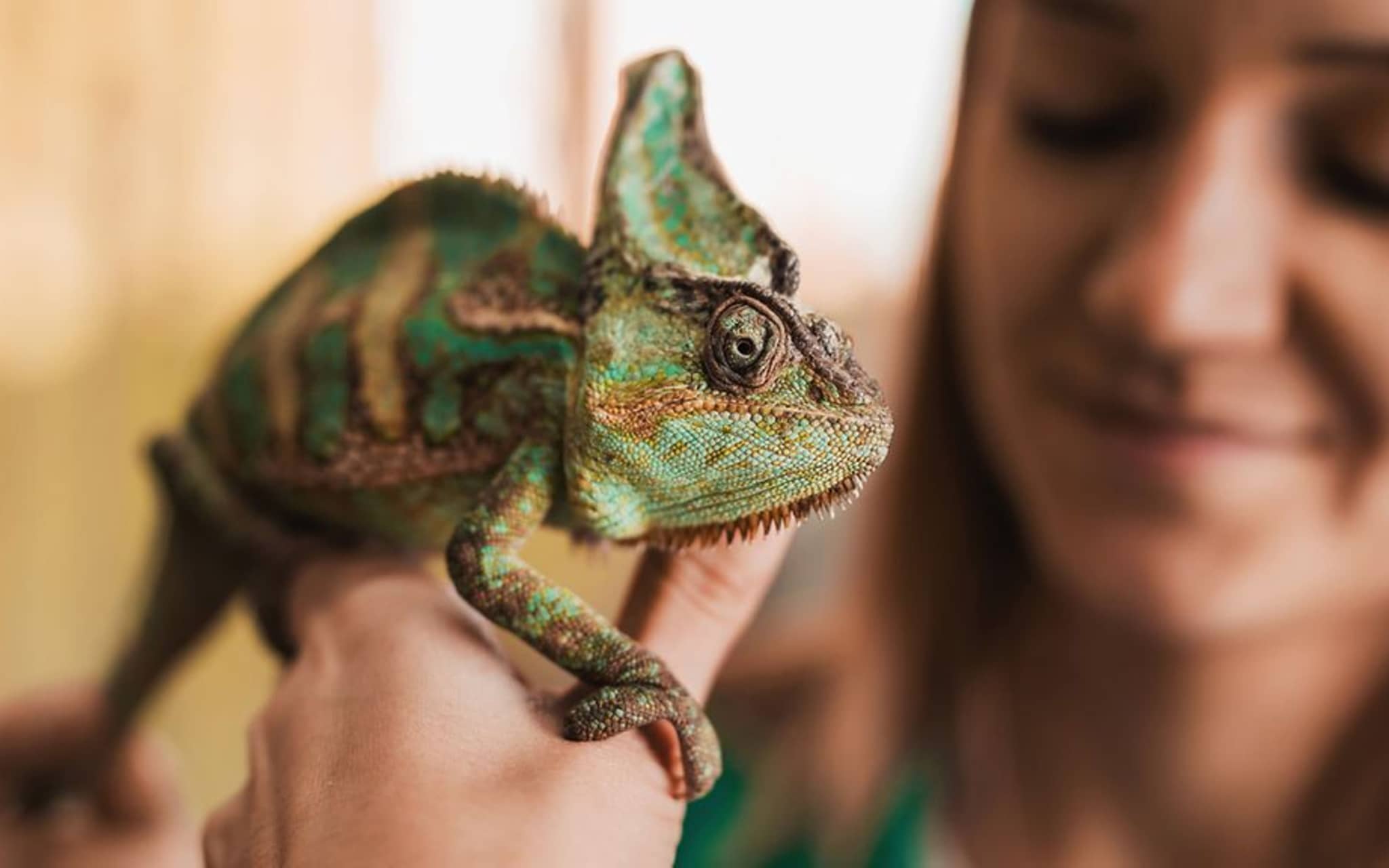 Eine junge Frau hält ein Chamäleon auf der Hand.