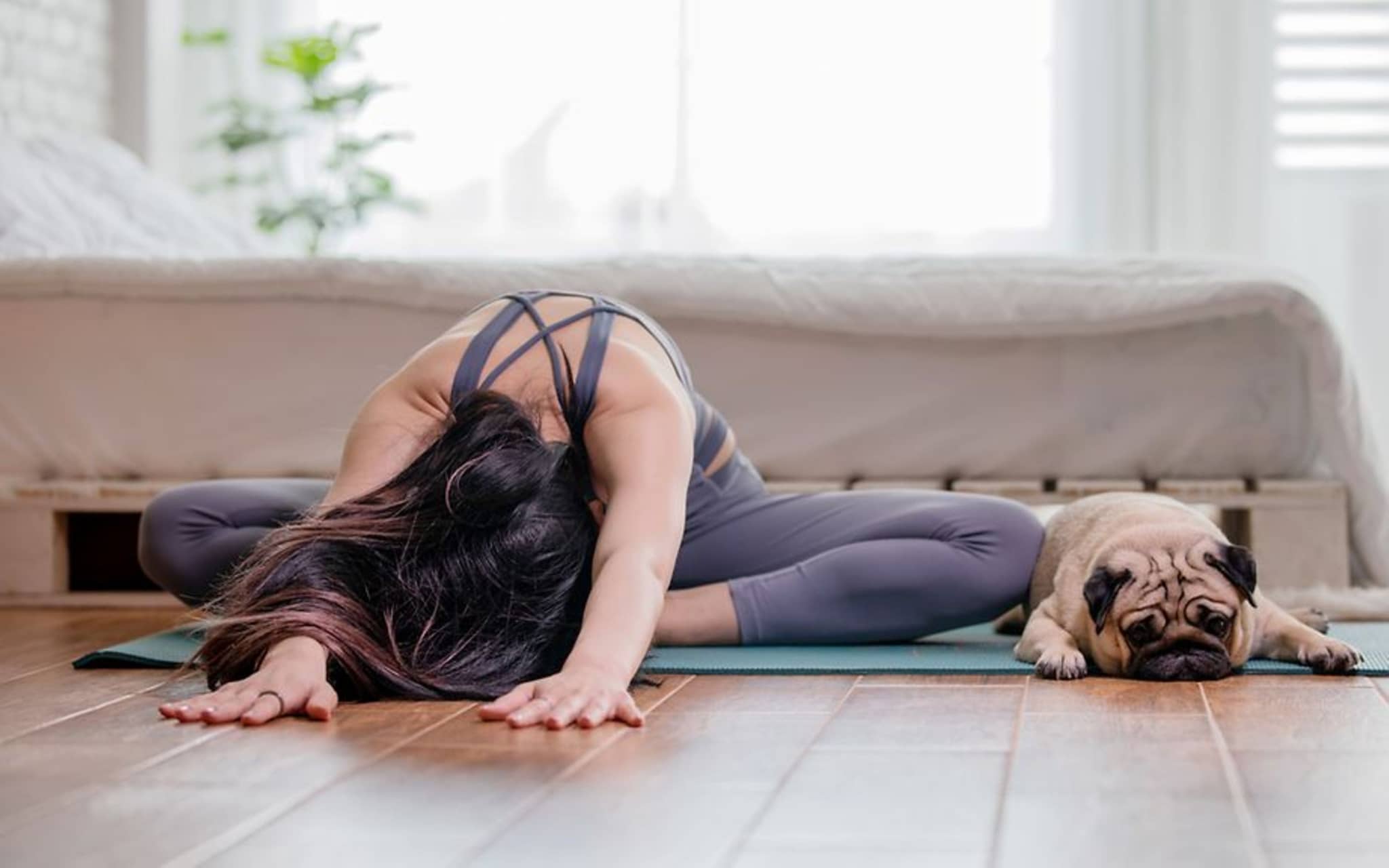 Frau sitzt im Schneidersitz auf einer Yogamatte, ihr Oberkörper liegt mit gestreckten Armen auf dem Boden
