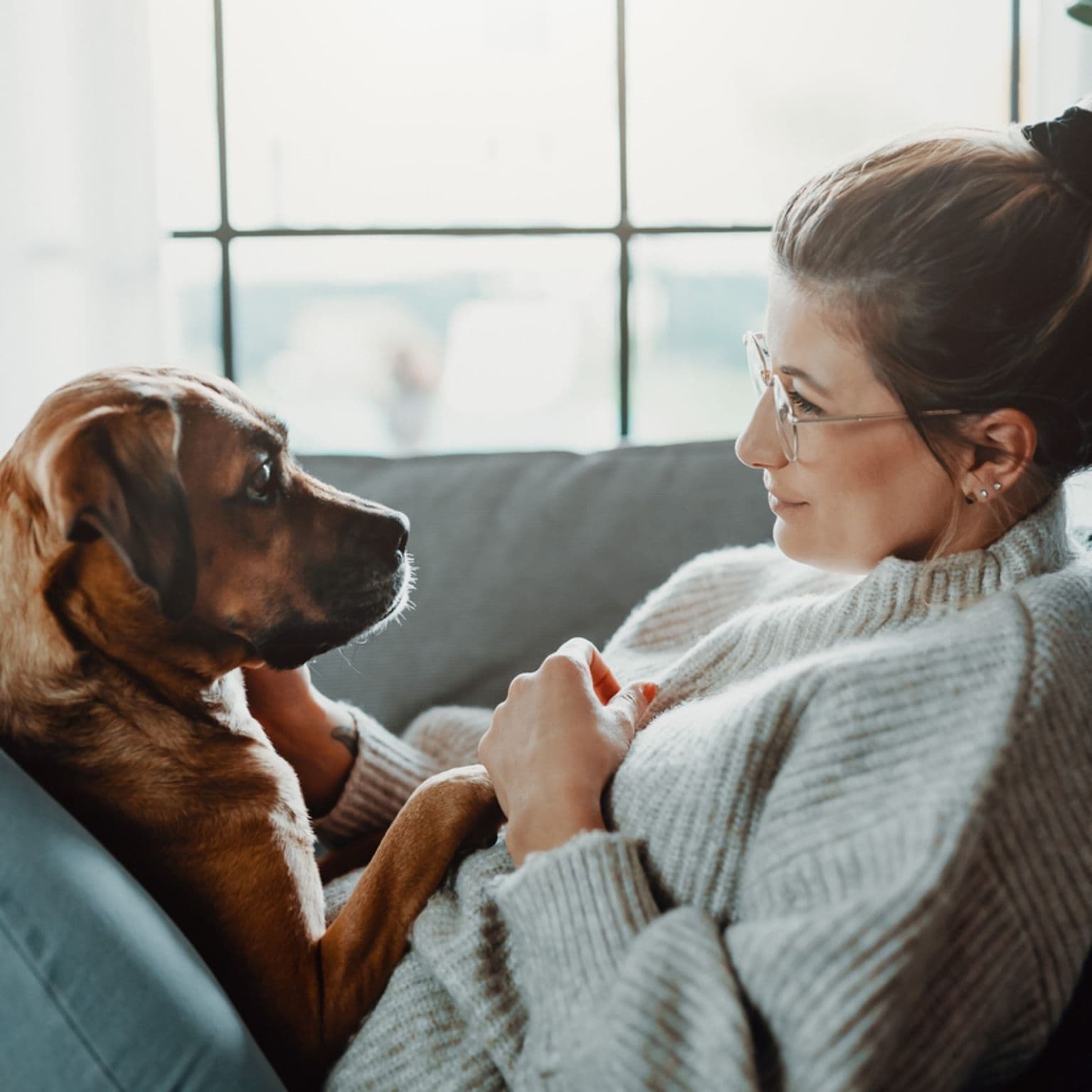 Immer für dich da: ein Hund.