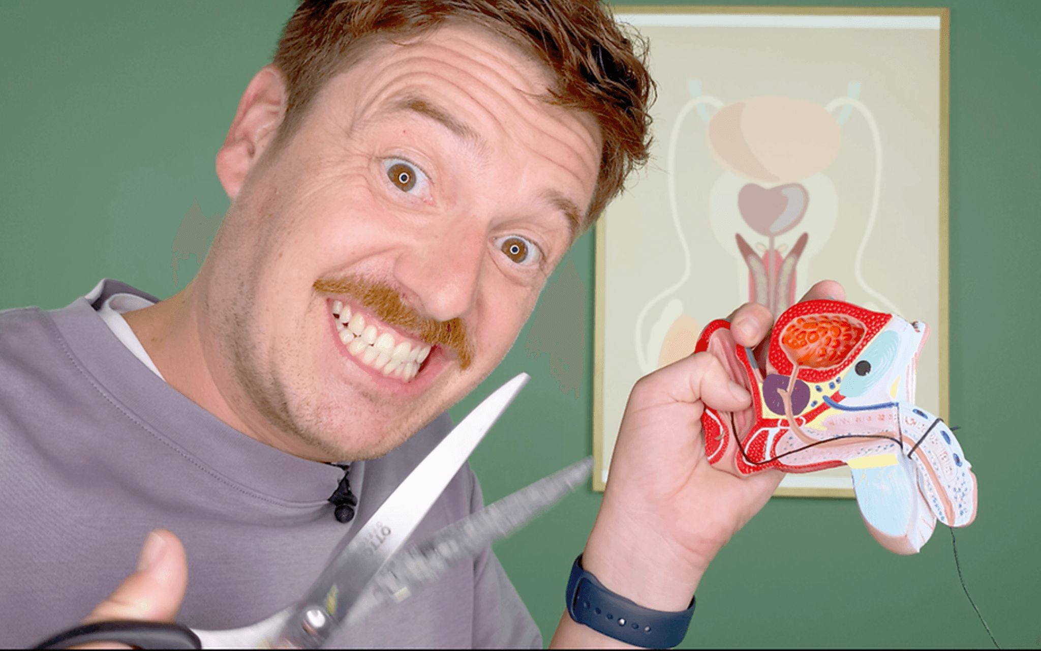 Volker Wittkamp erklärt die Vasektomie