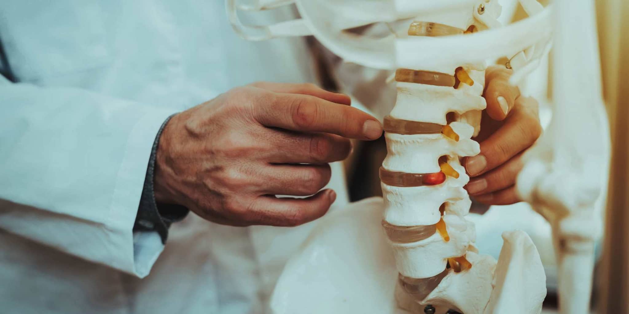 Bild: Arzt erklärt an einem Modell der Wirbelsäule die Bandscheiben.