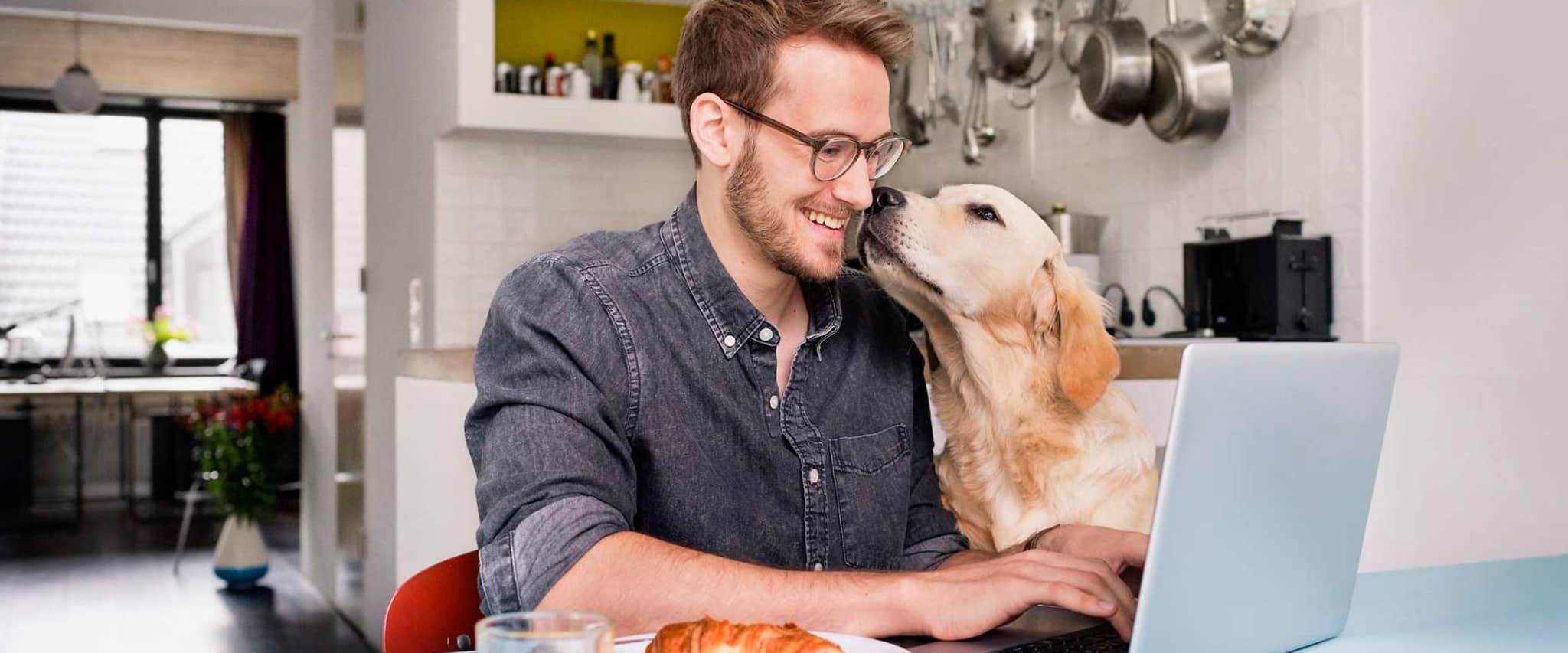 Bild: Mann sitz an seinem Laptop und bekommt von seinem Hund ein Küsschen.