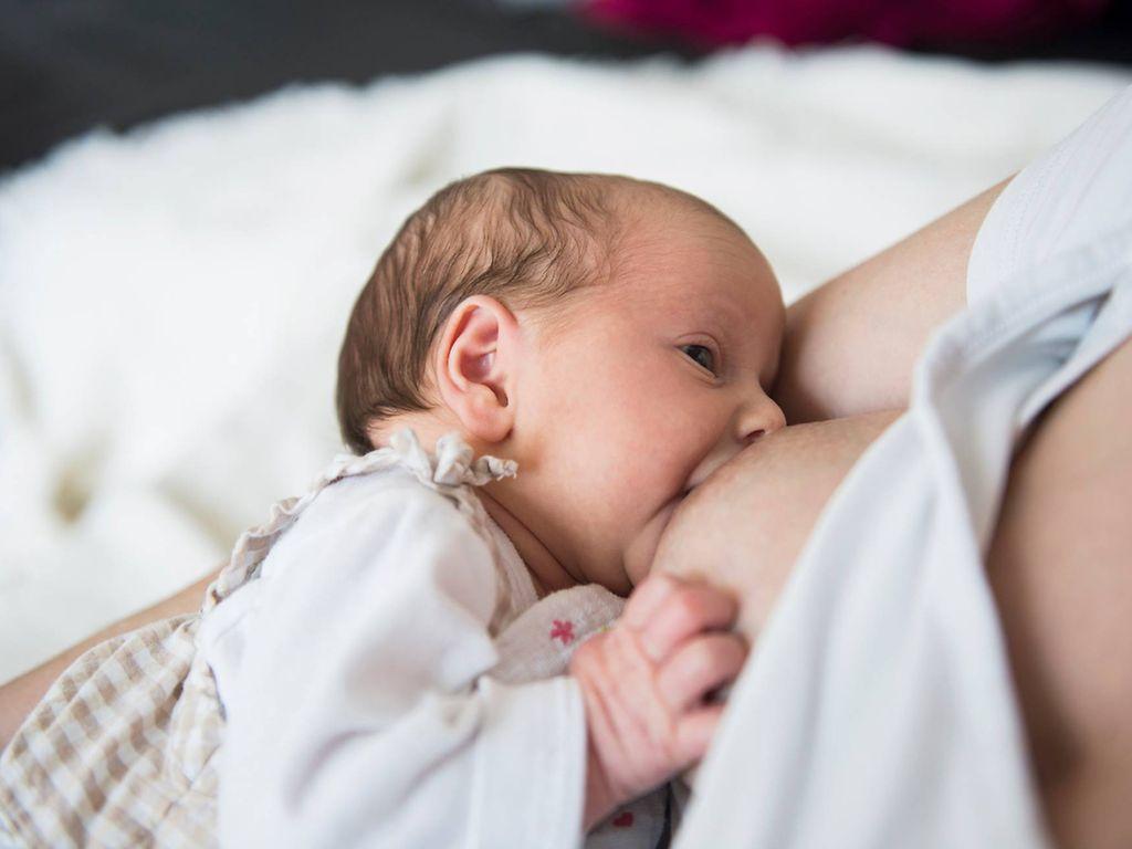 Symbolbild Stillen: Säugling an der Brust der Mutter