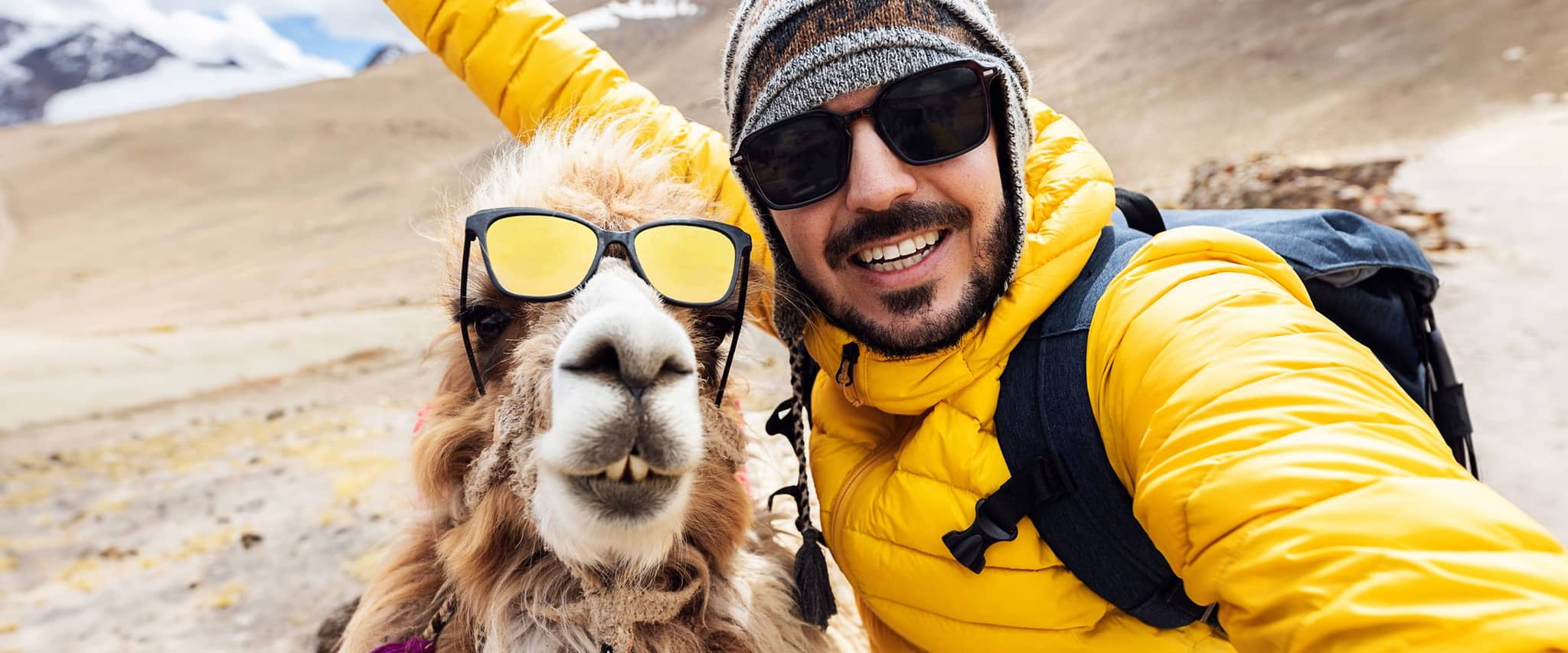 Mann mit Sonnenbrille und Lama mit Sonnenbrille machen ein Selfie.